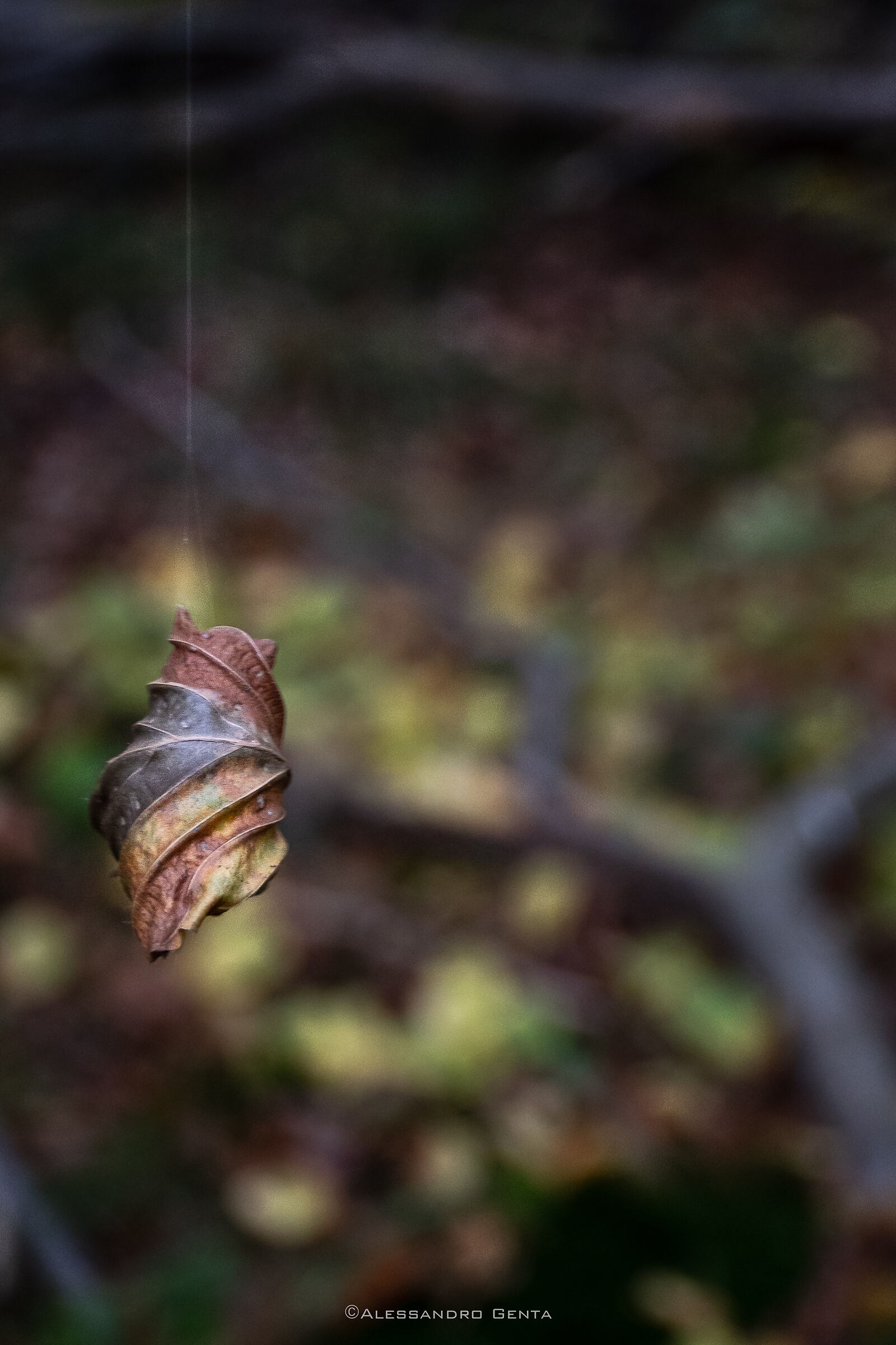 Hanging by a thread