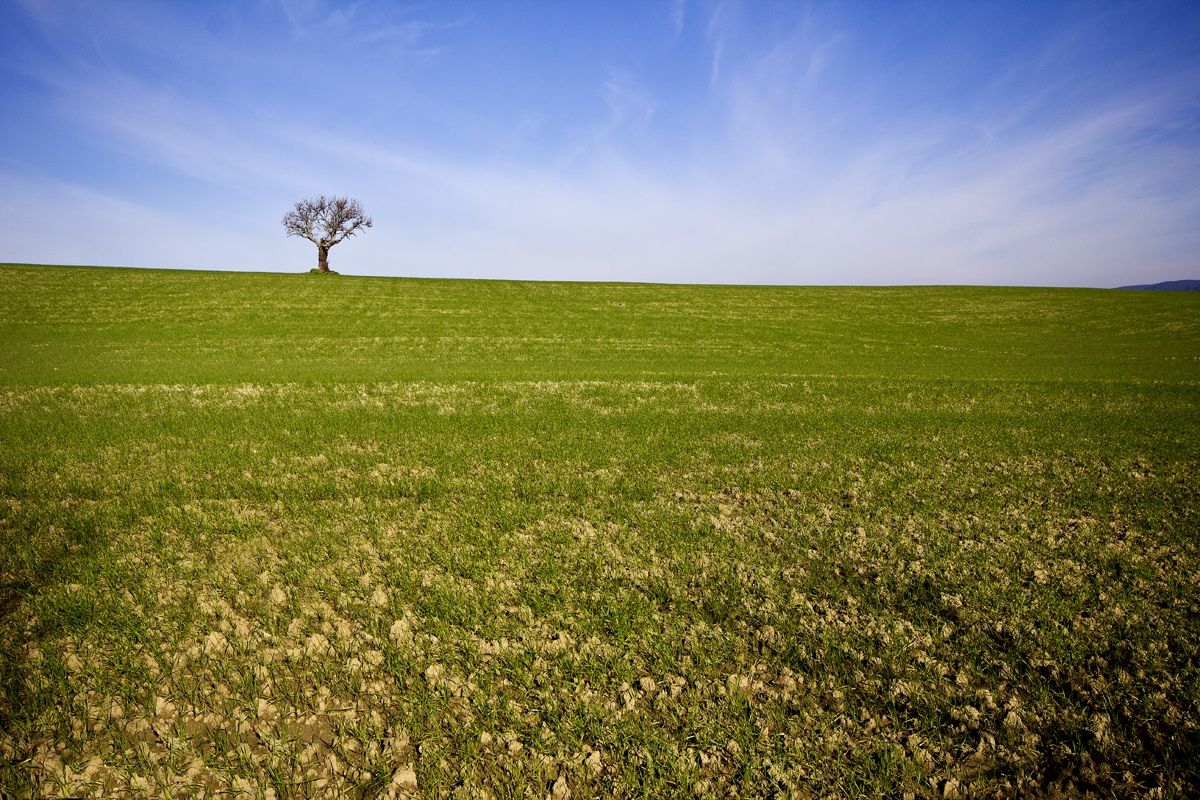 ...il solitario 2...