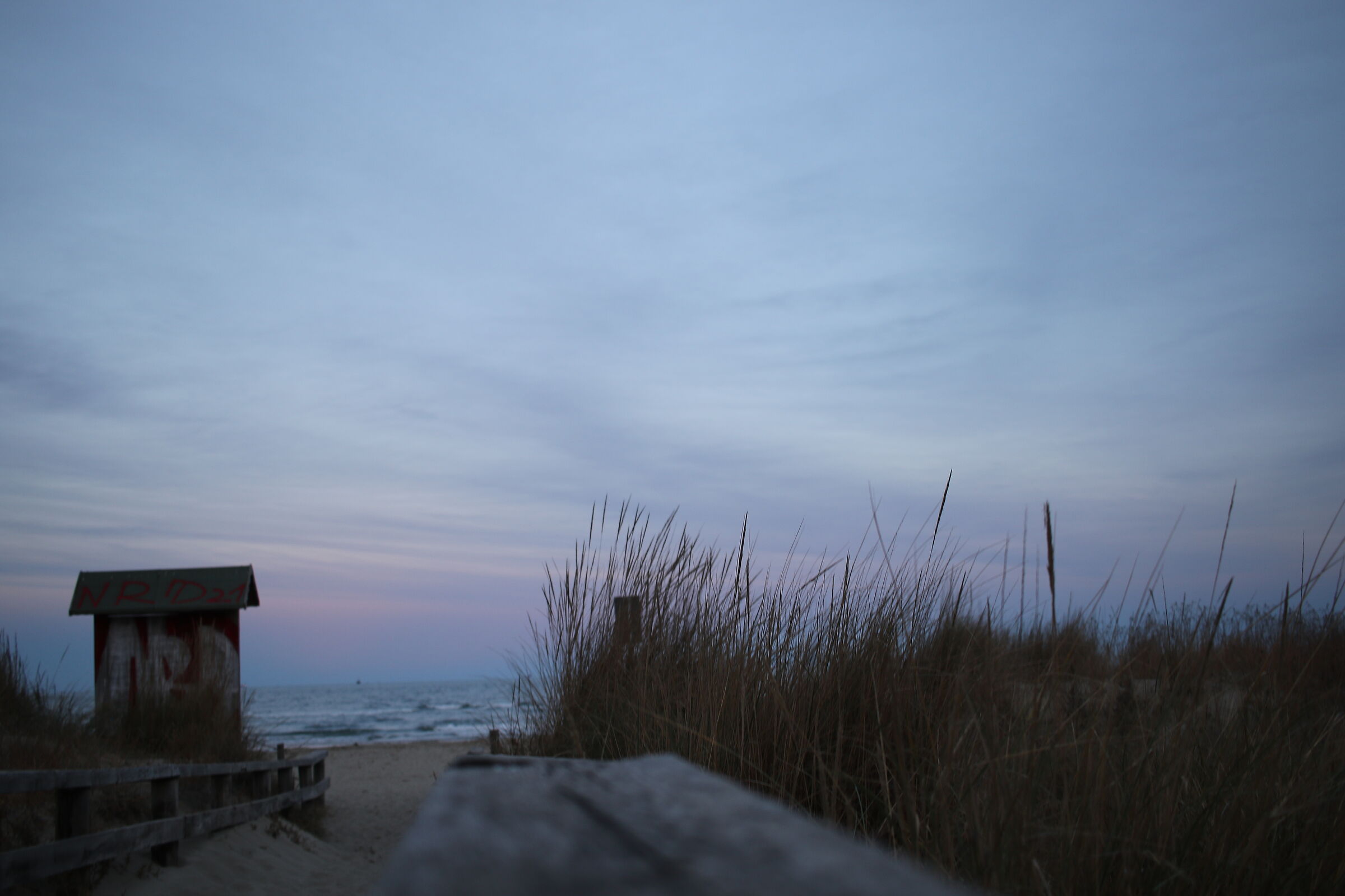 Winter sea