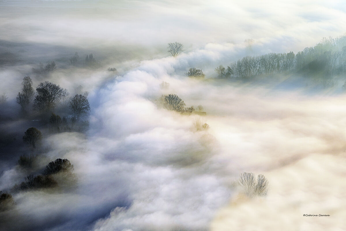 An ever-changing landscape