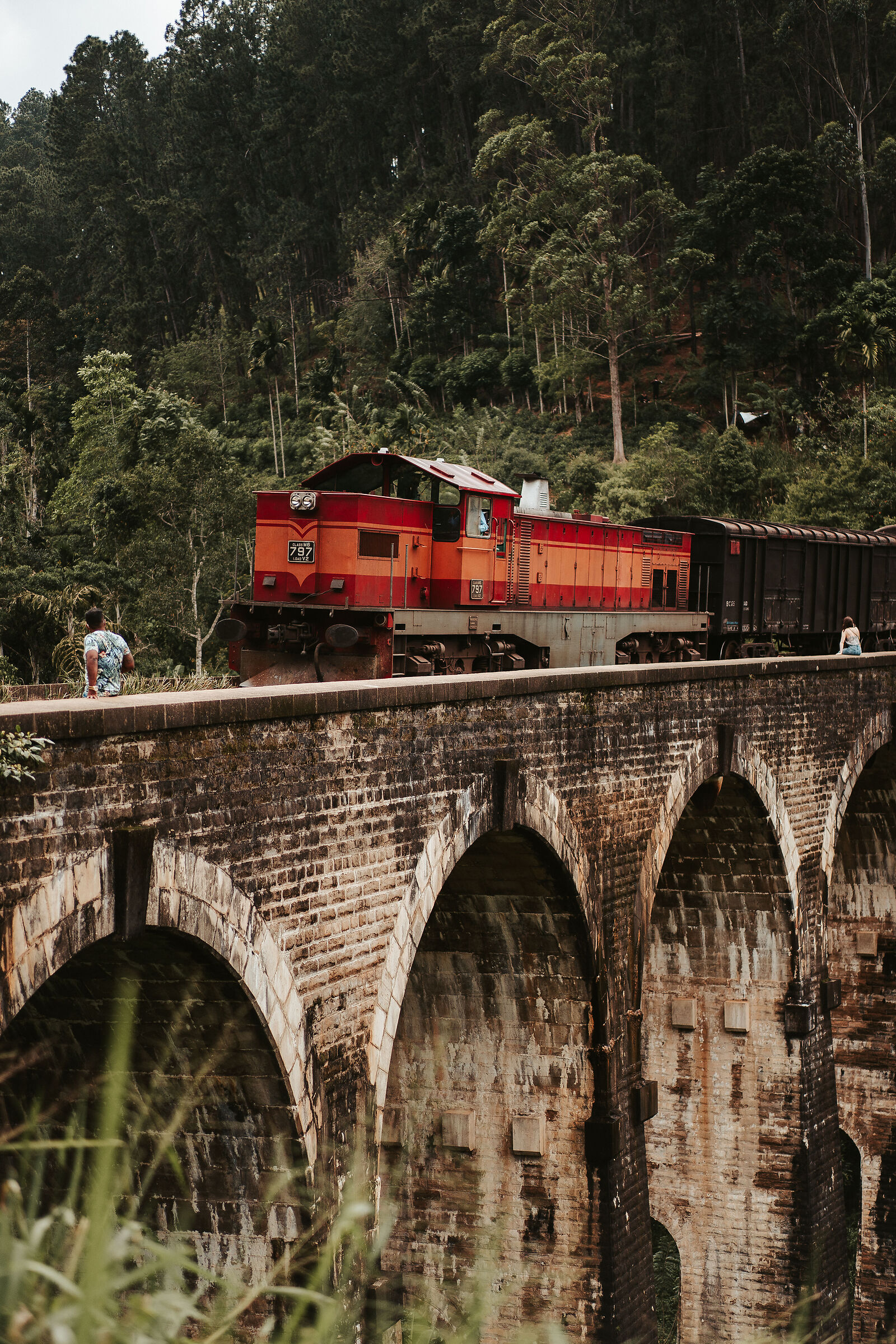 The train