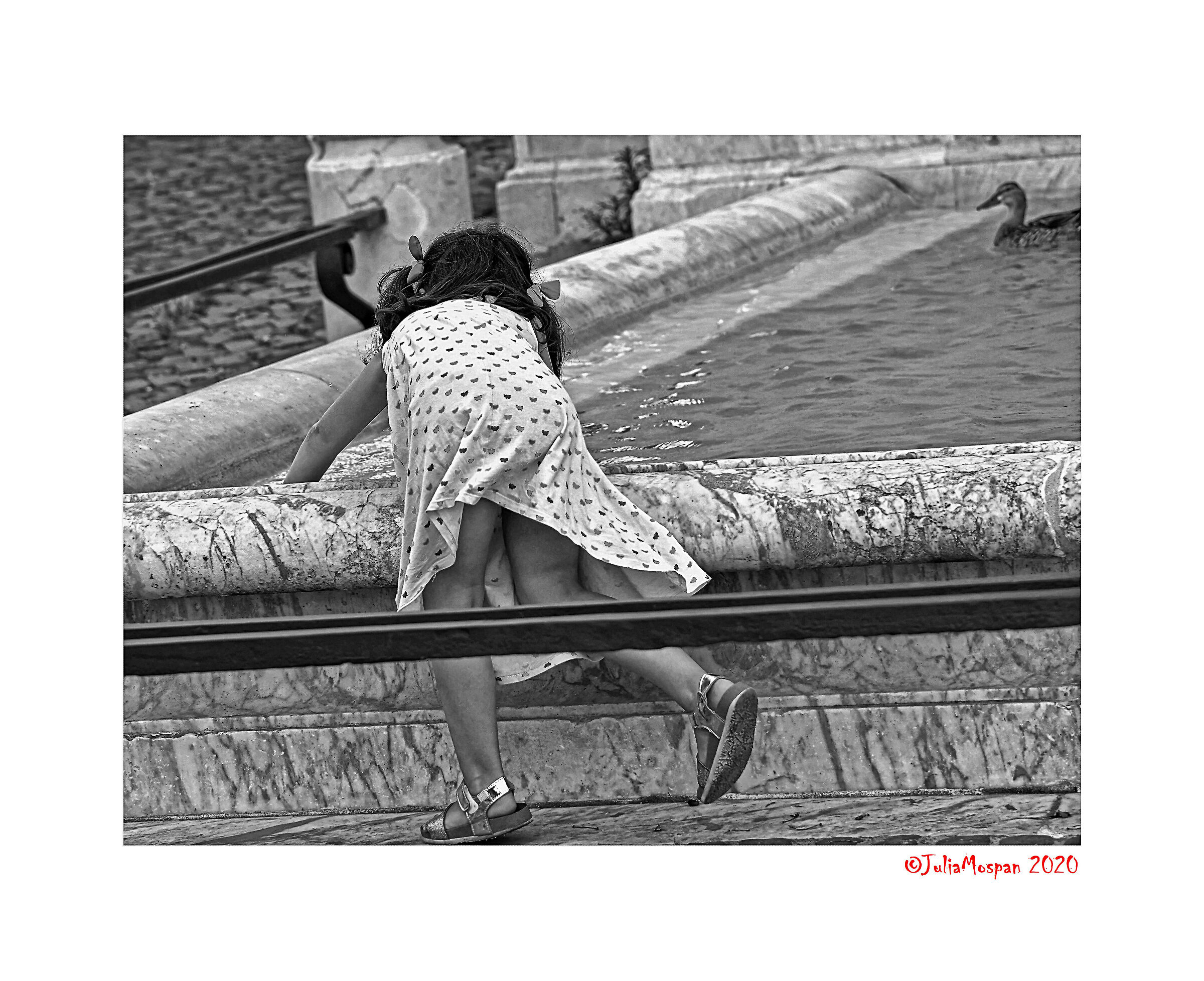 Fontana dell'Acqua Paola. Roma