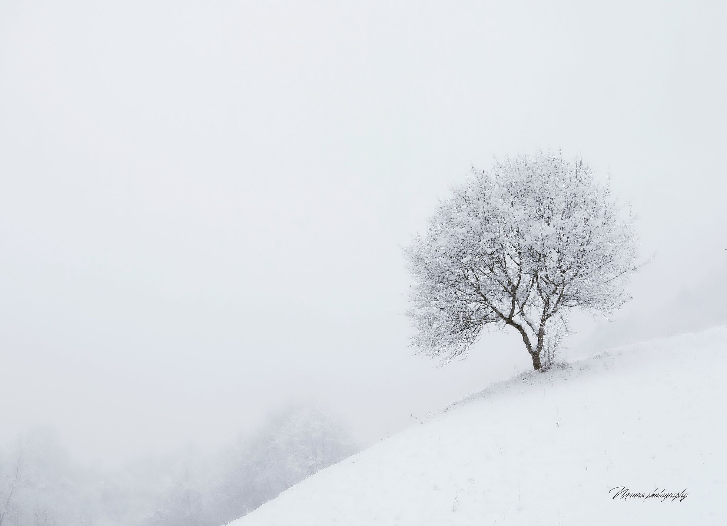 Minimal