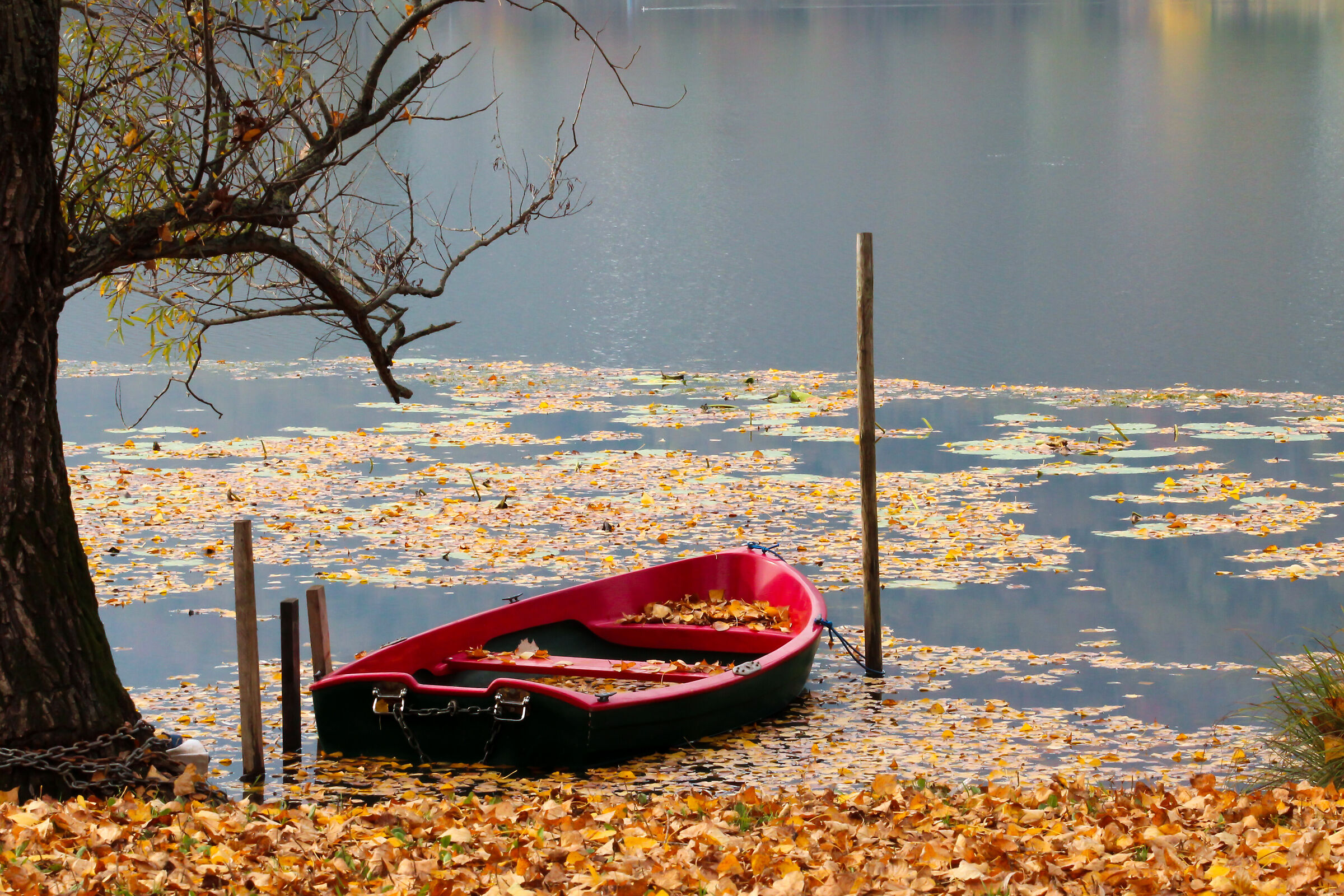 Autumn on the lake