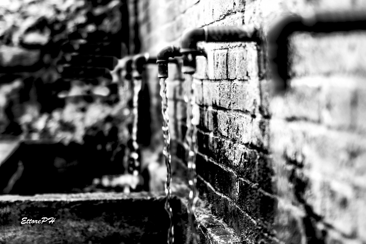 Le Sei Fontanelle B/N