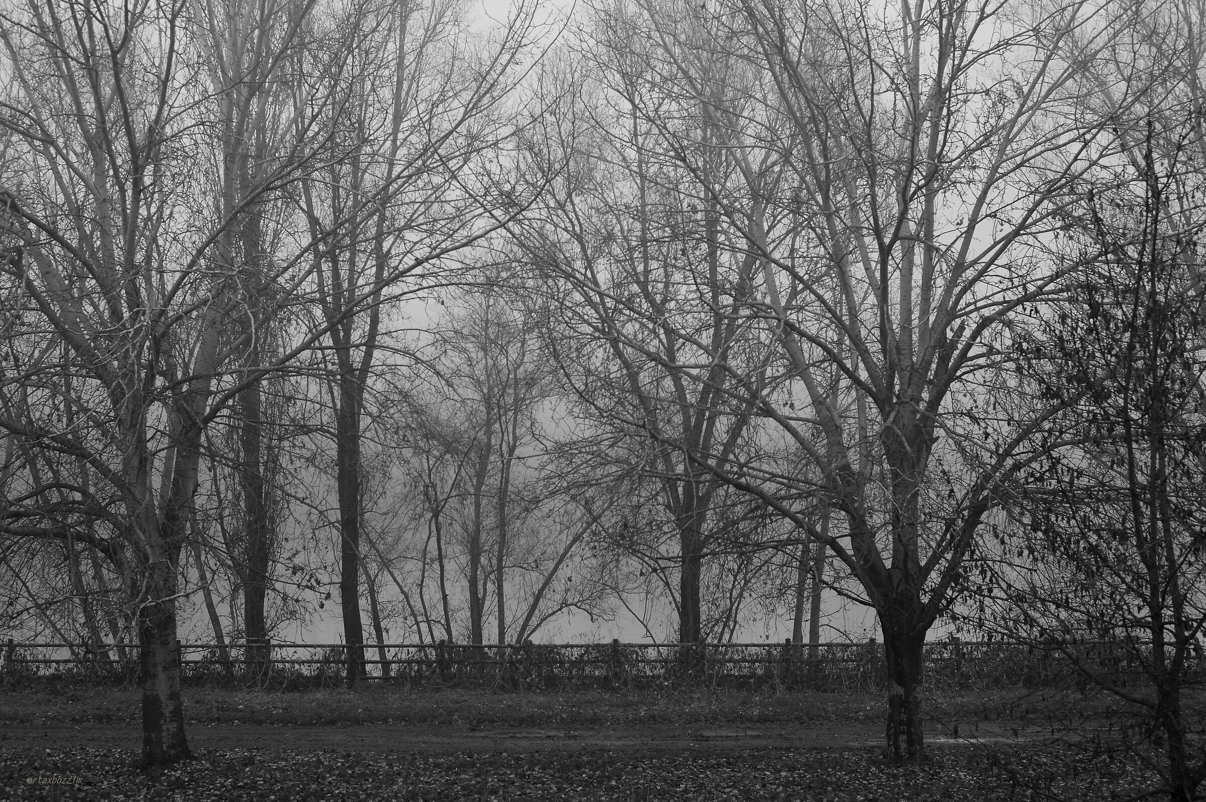 Winter on the big river