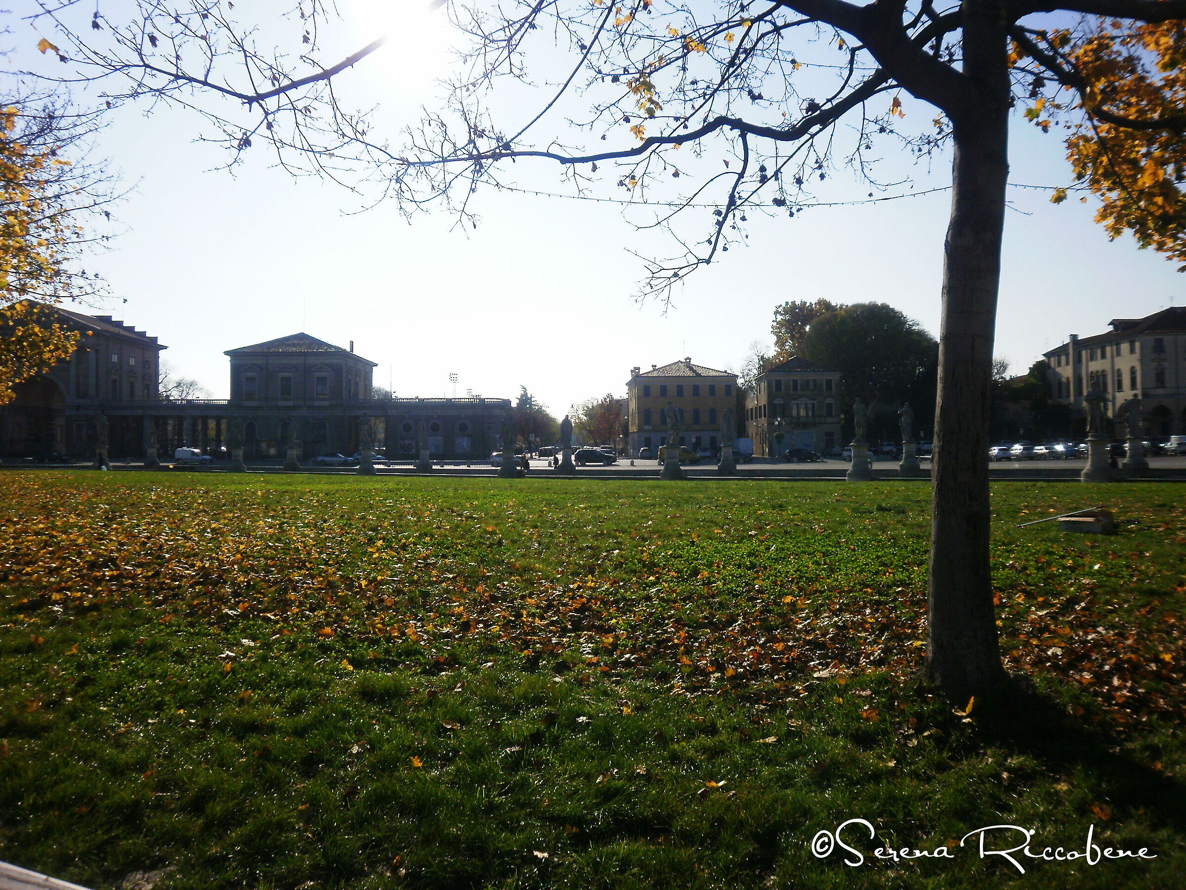 Padua