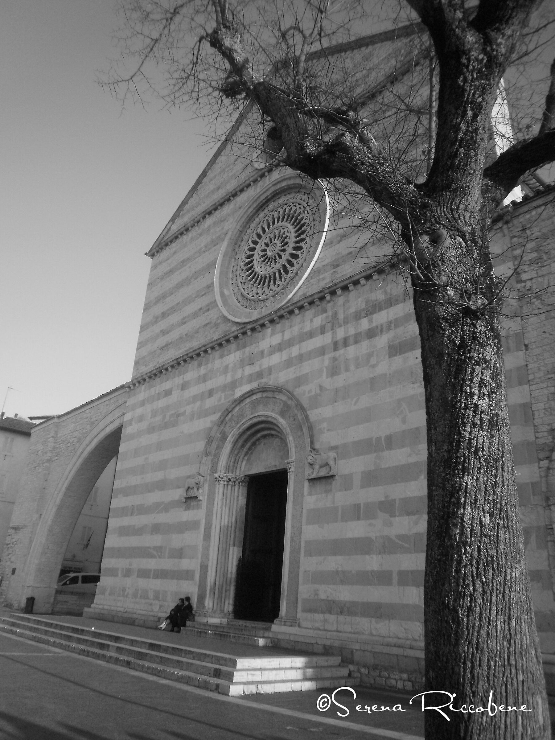 Untitled Photo