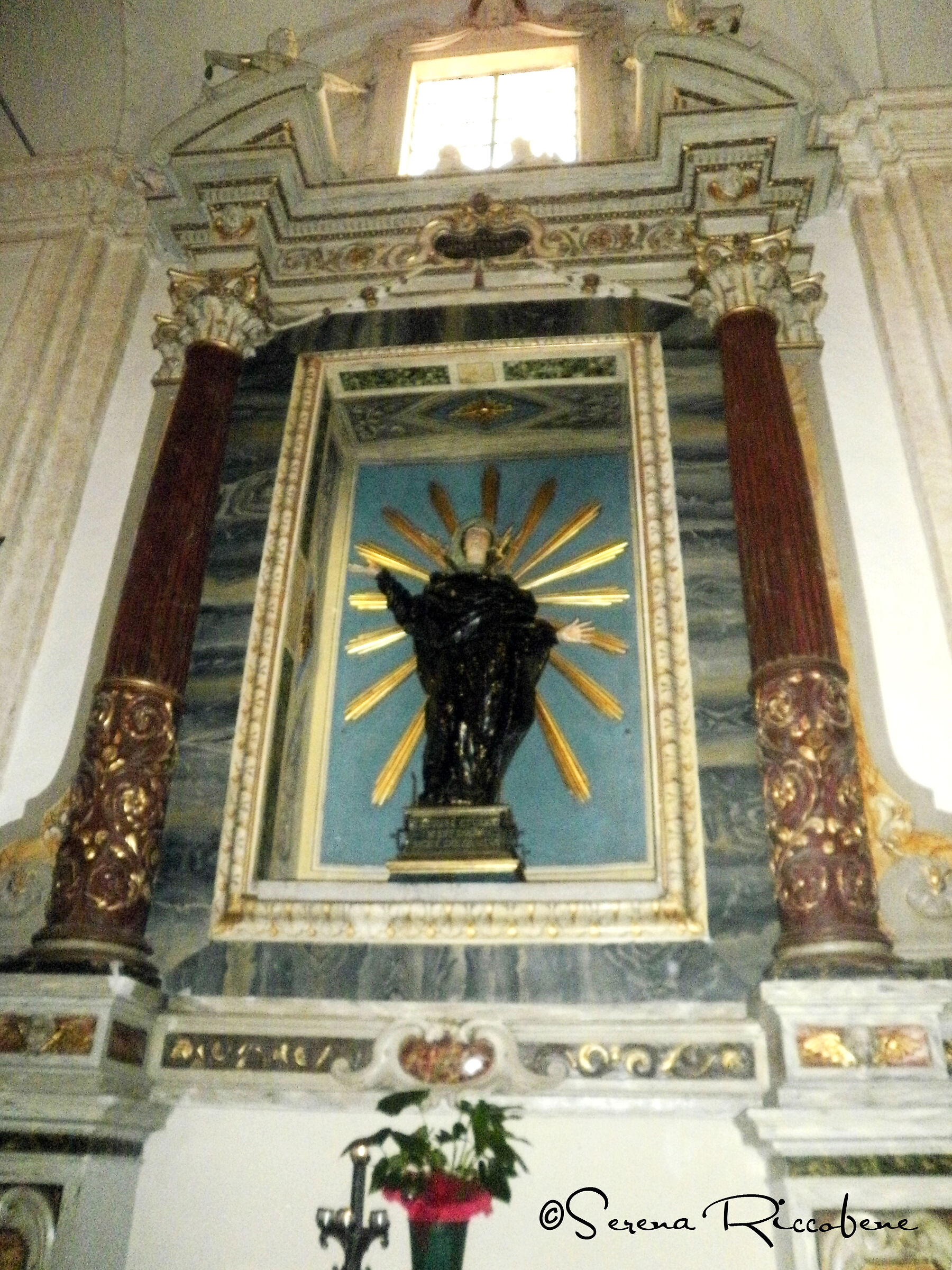 Untitled Photo