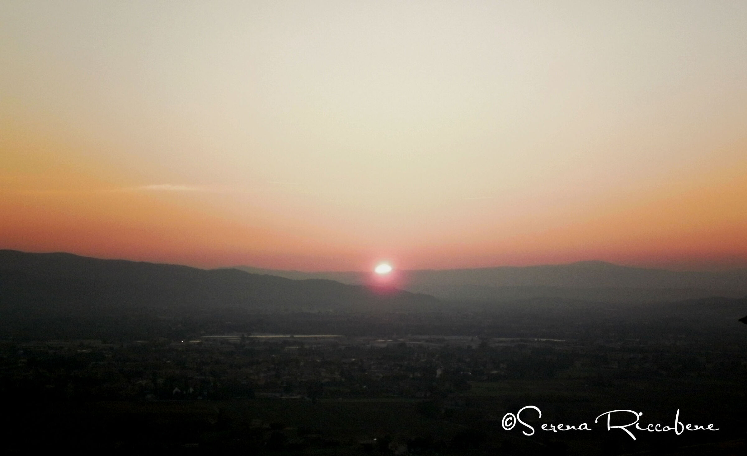 Untitled Photo