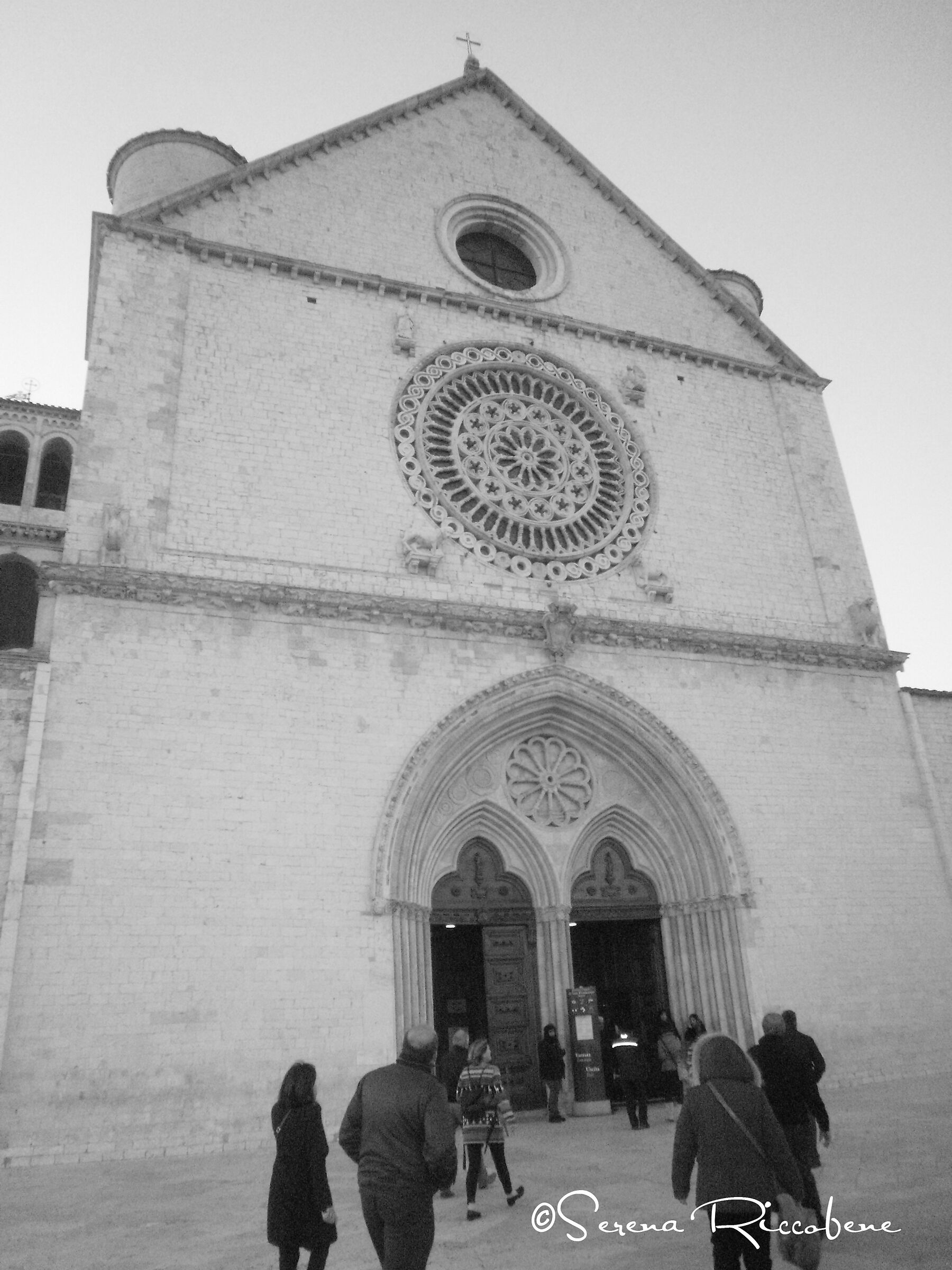 Untitled Photo