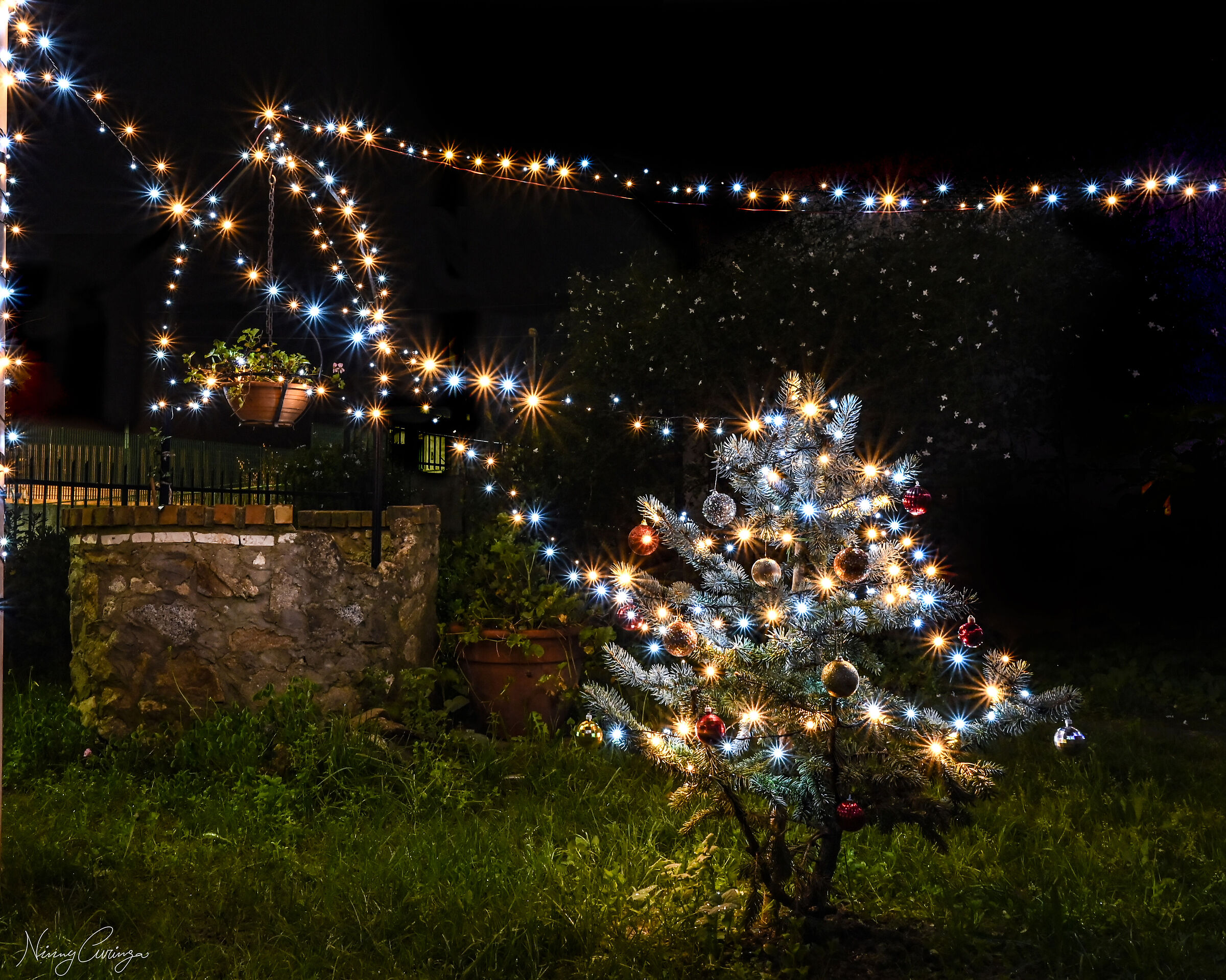 Christmas Composition