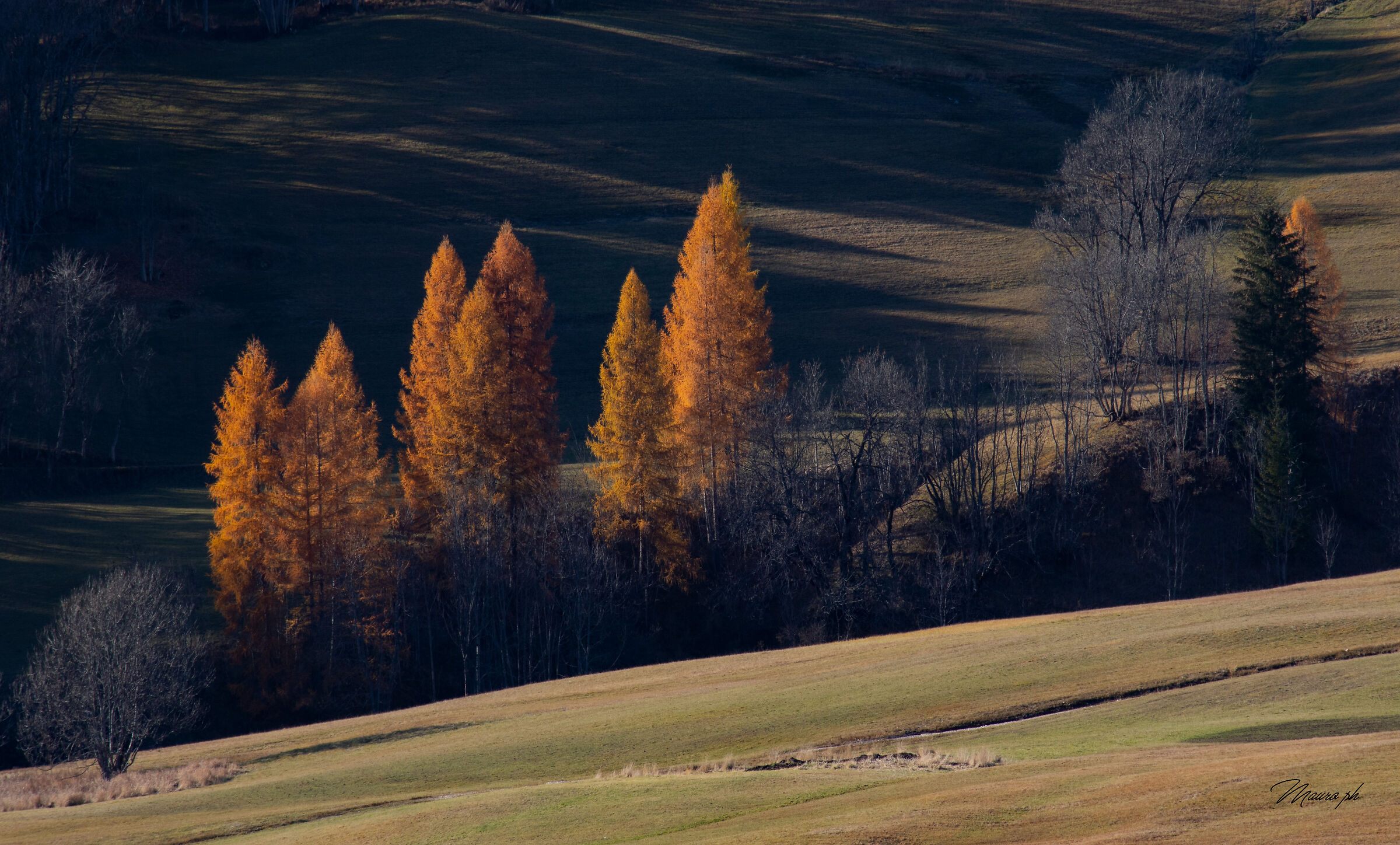 Autunno