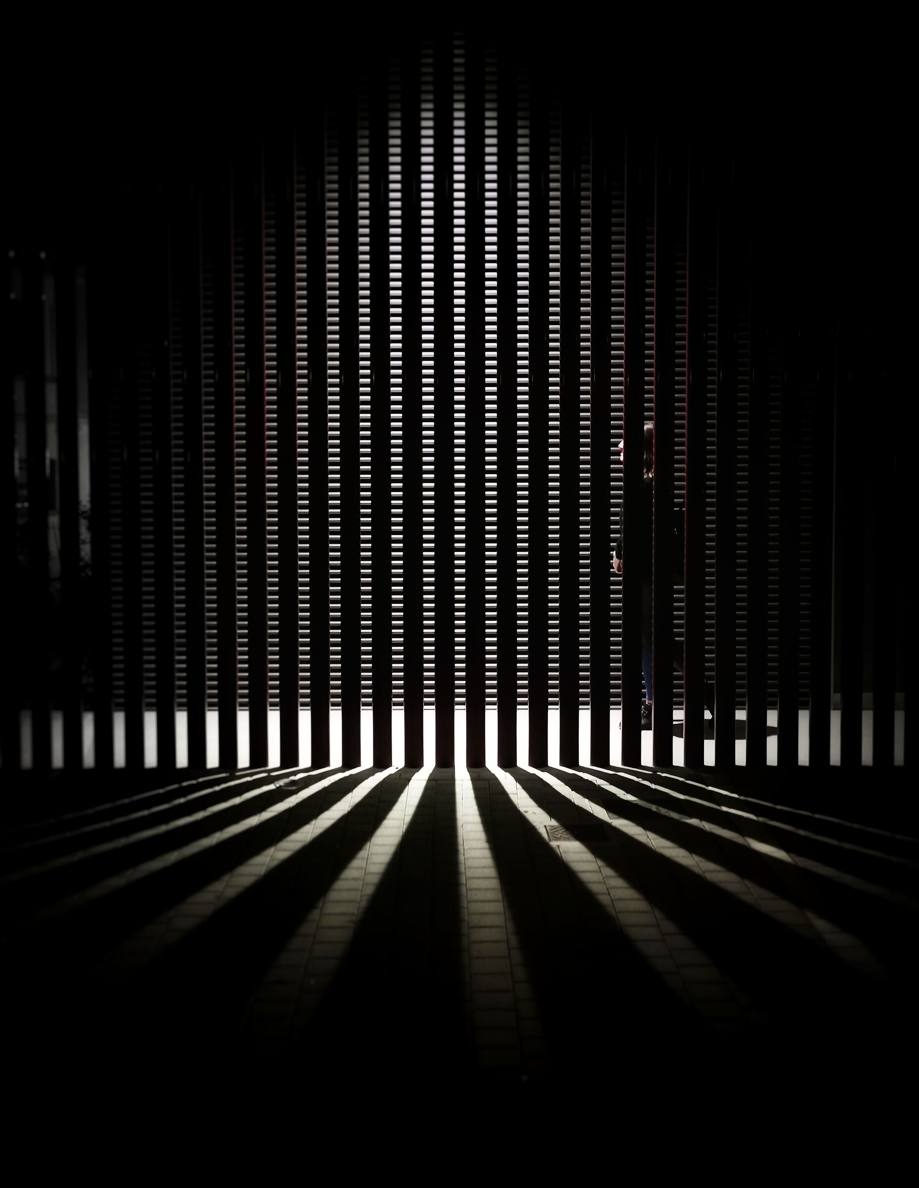 Behind bars