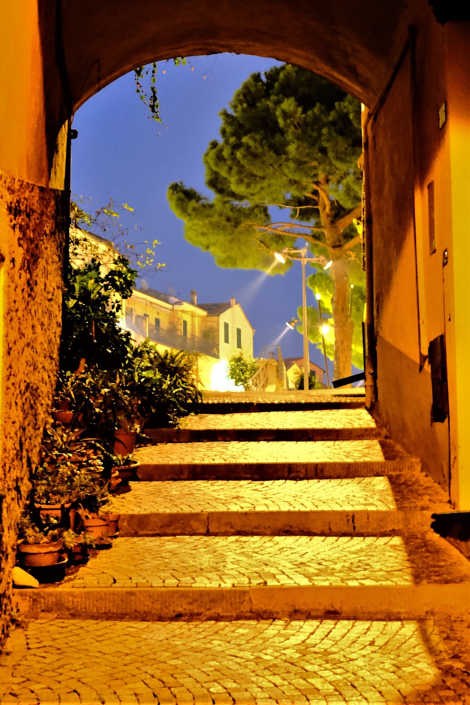 light in the carruggio