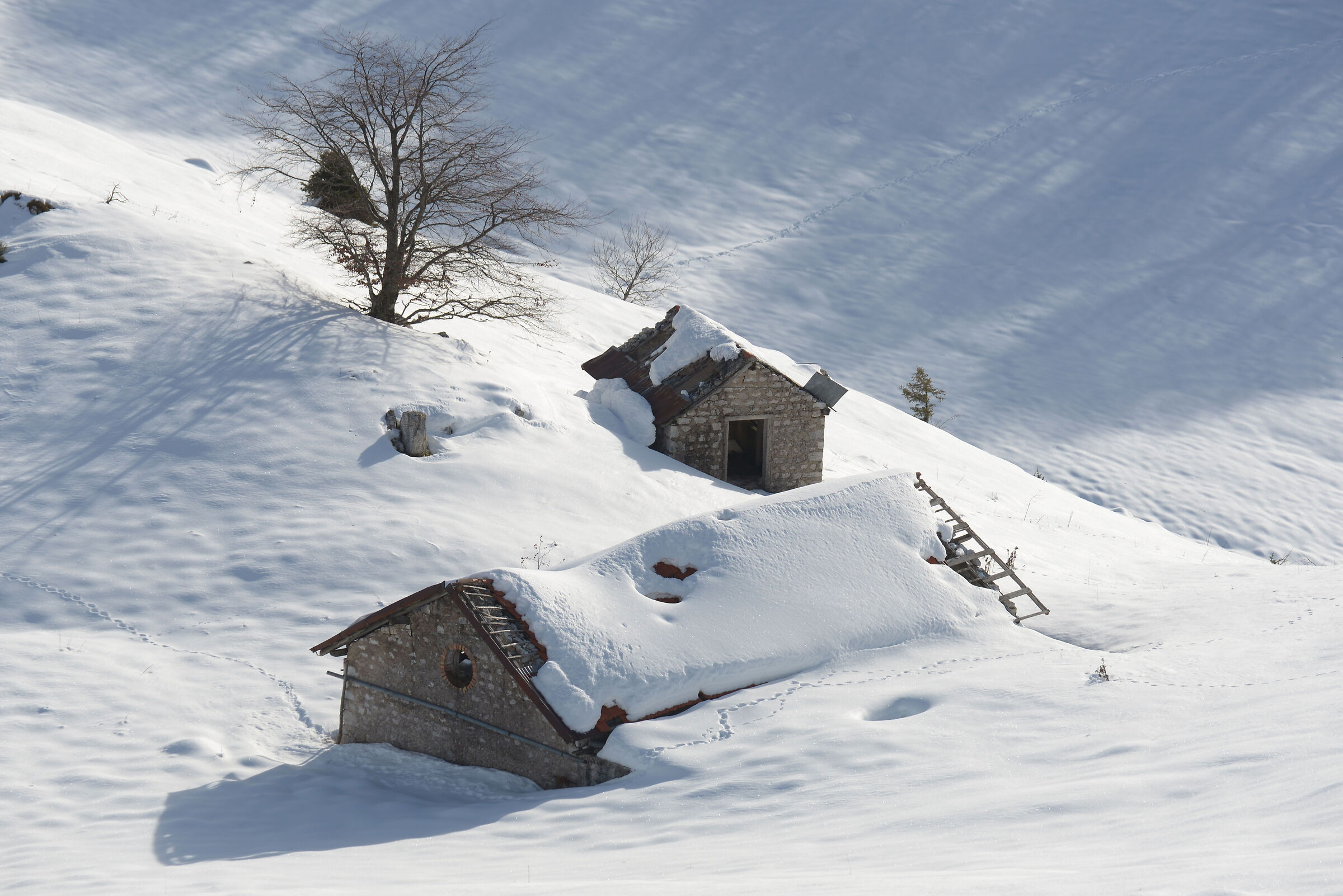 Ruderi innevati