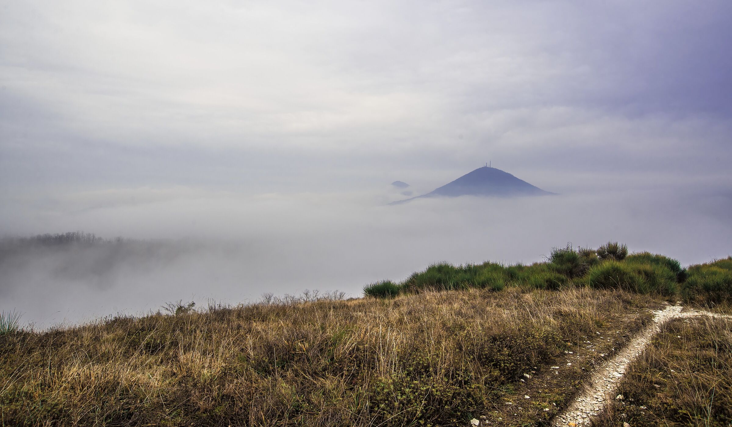 “ La nebbia agli irti colli”