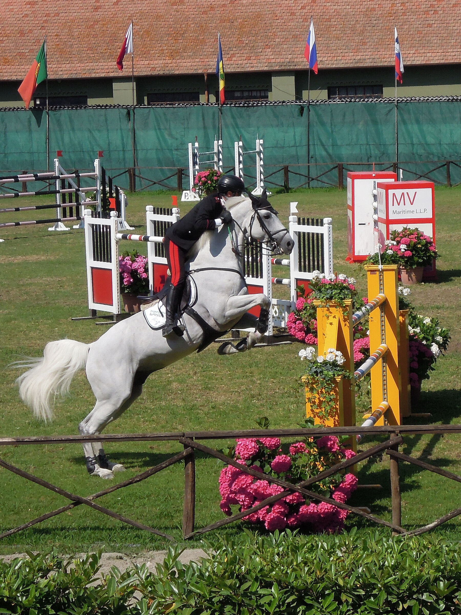 Sanremo Equestrian Competition