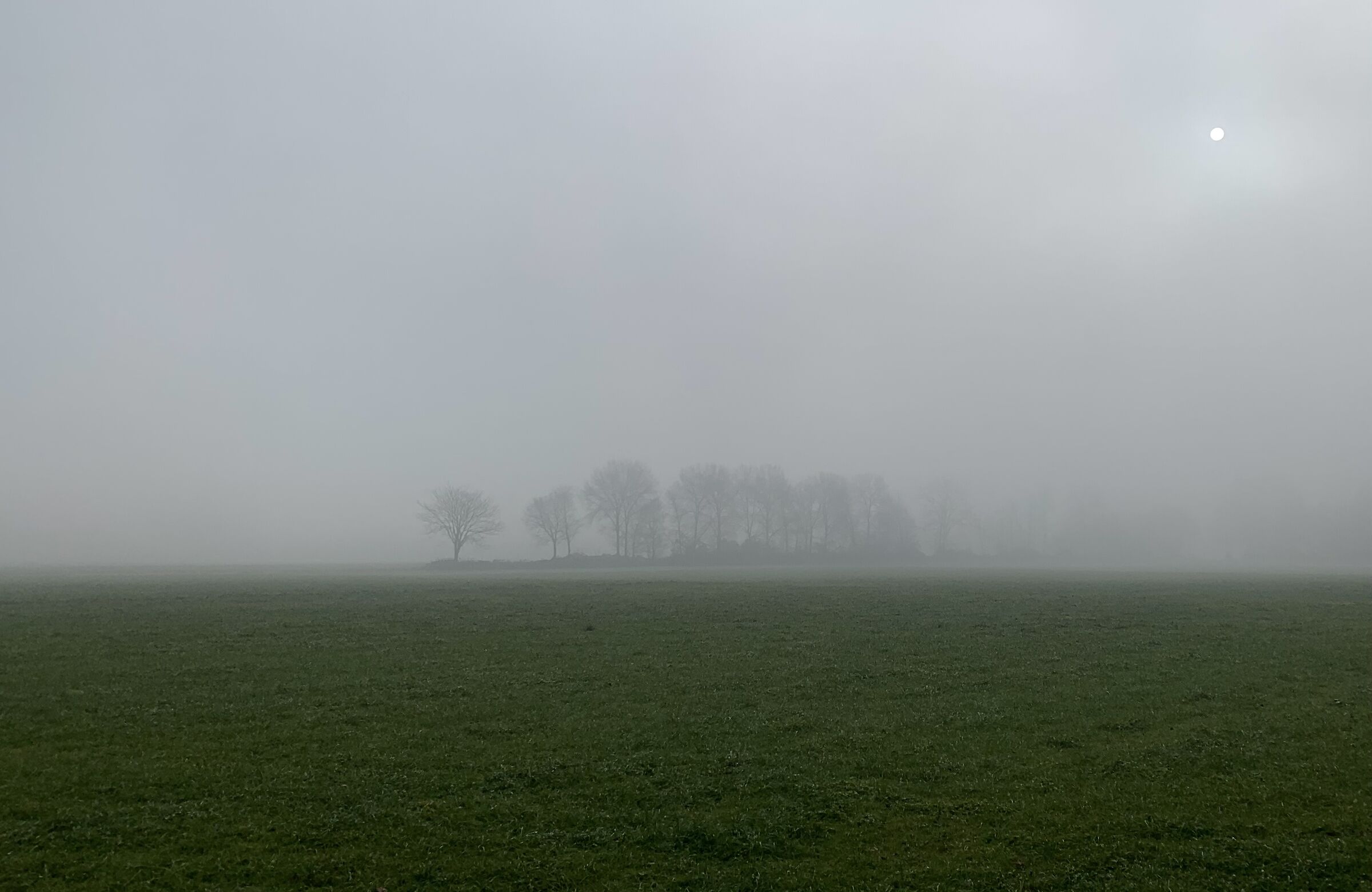 The sun behind the fog