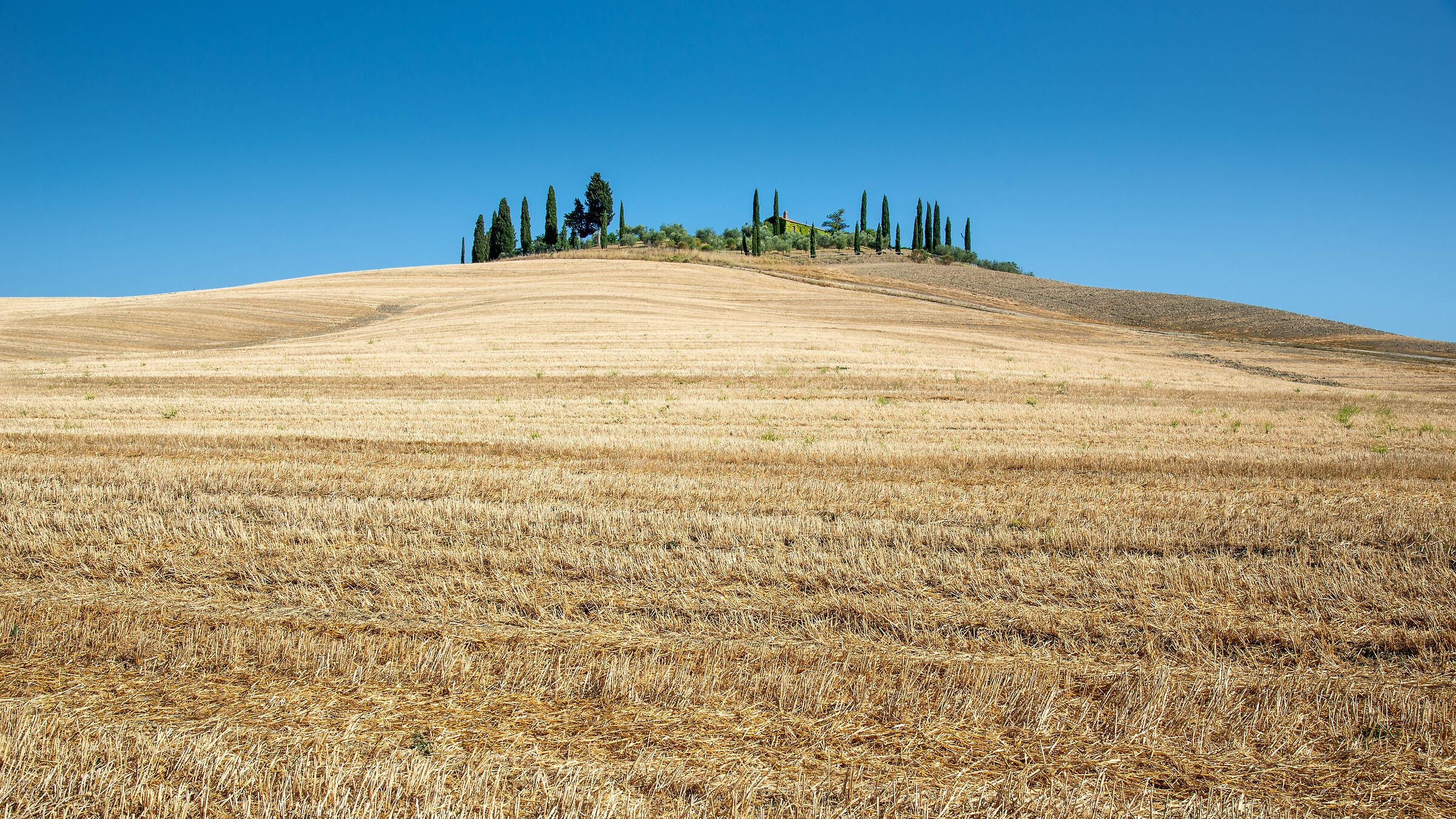 Collina dorata