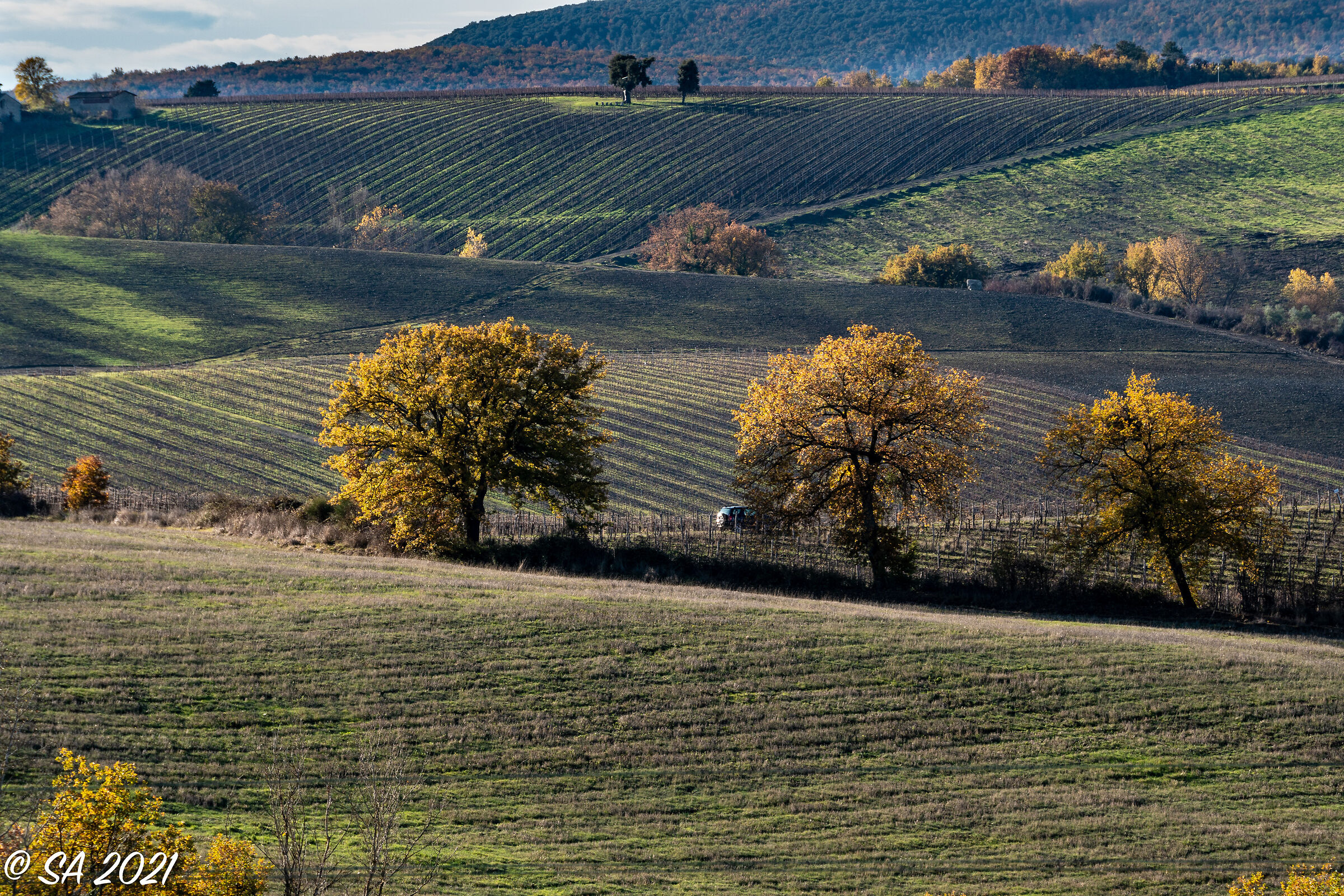 Chianti Hills 3
