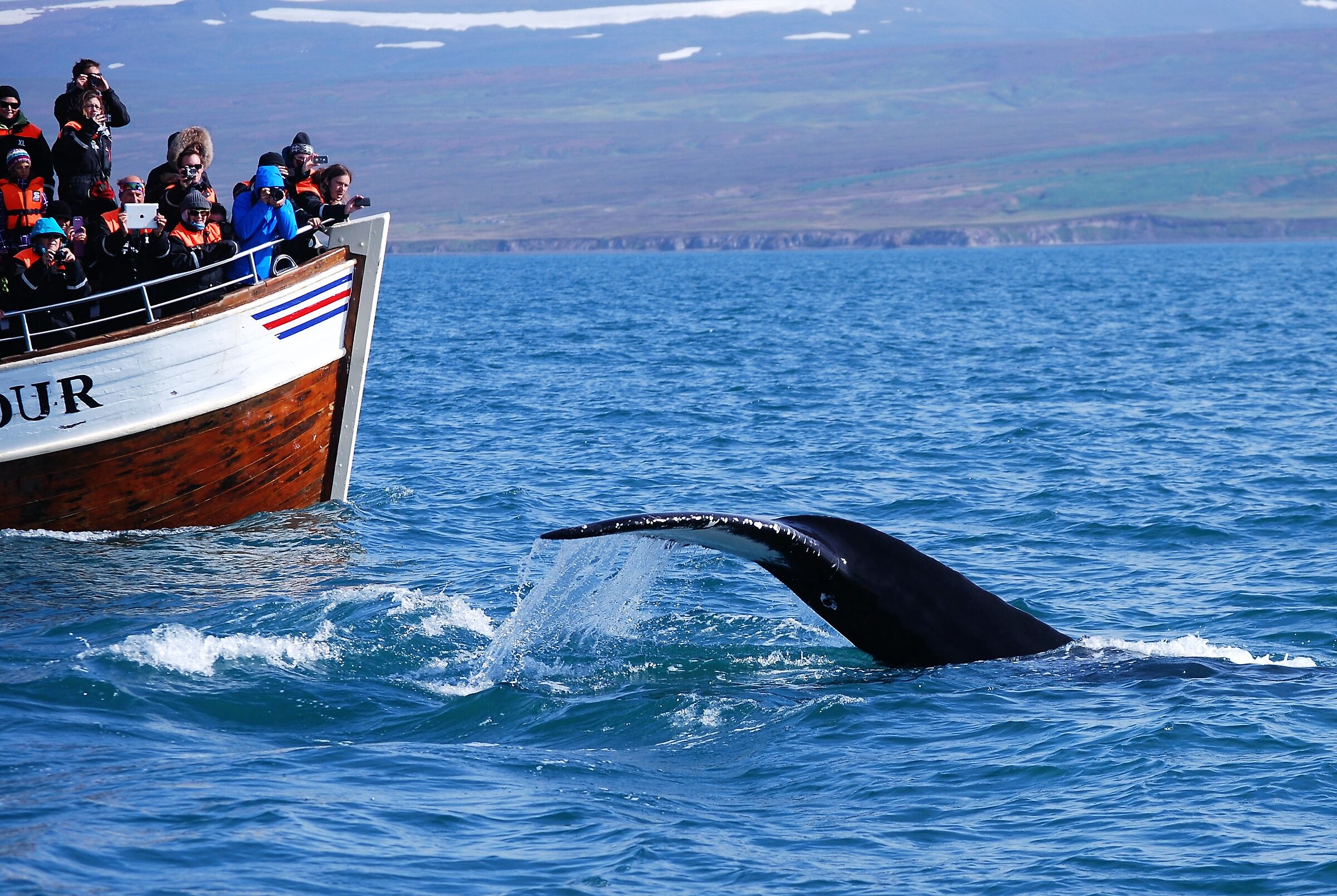 A caccia con il tablet