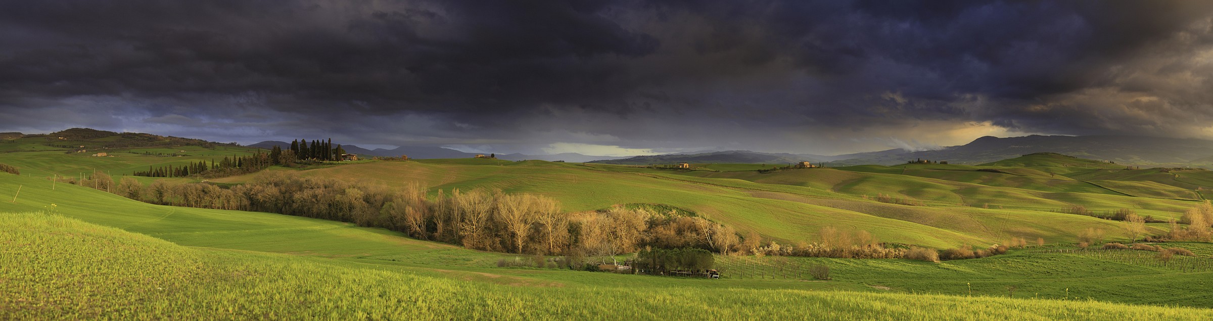 Tuscany - Val d'Orcia, panorama near Pienza