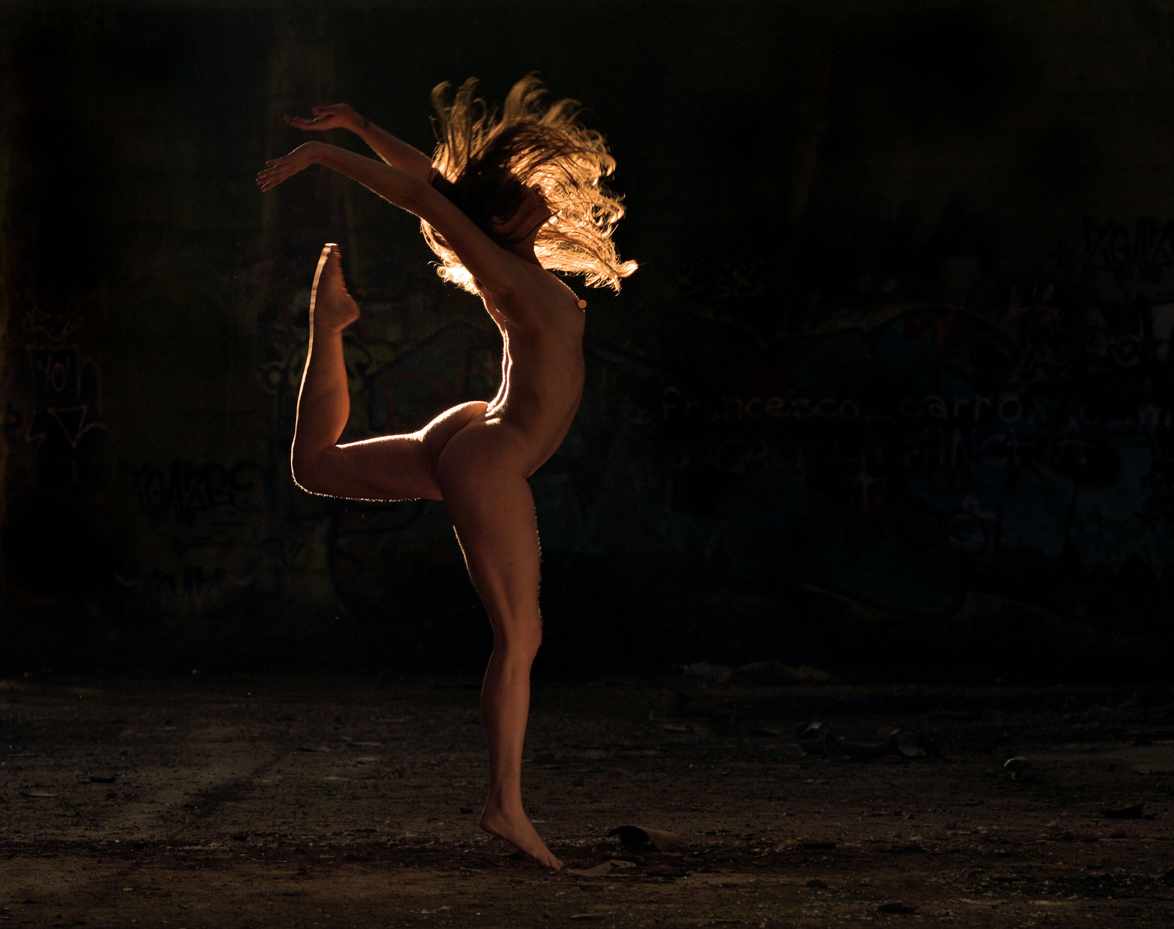 Model: Elisa