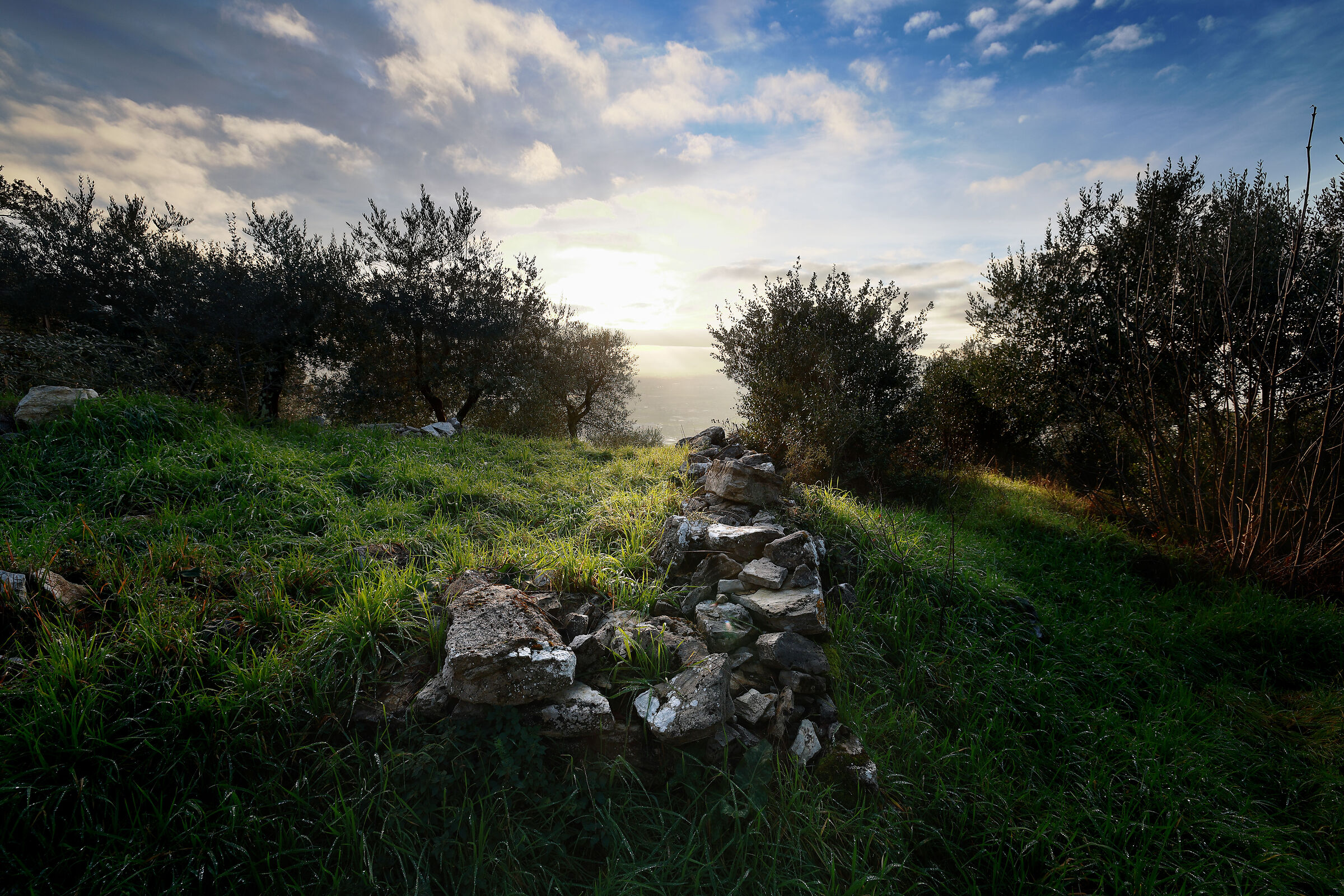 Sul colle di Monsummano
