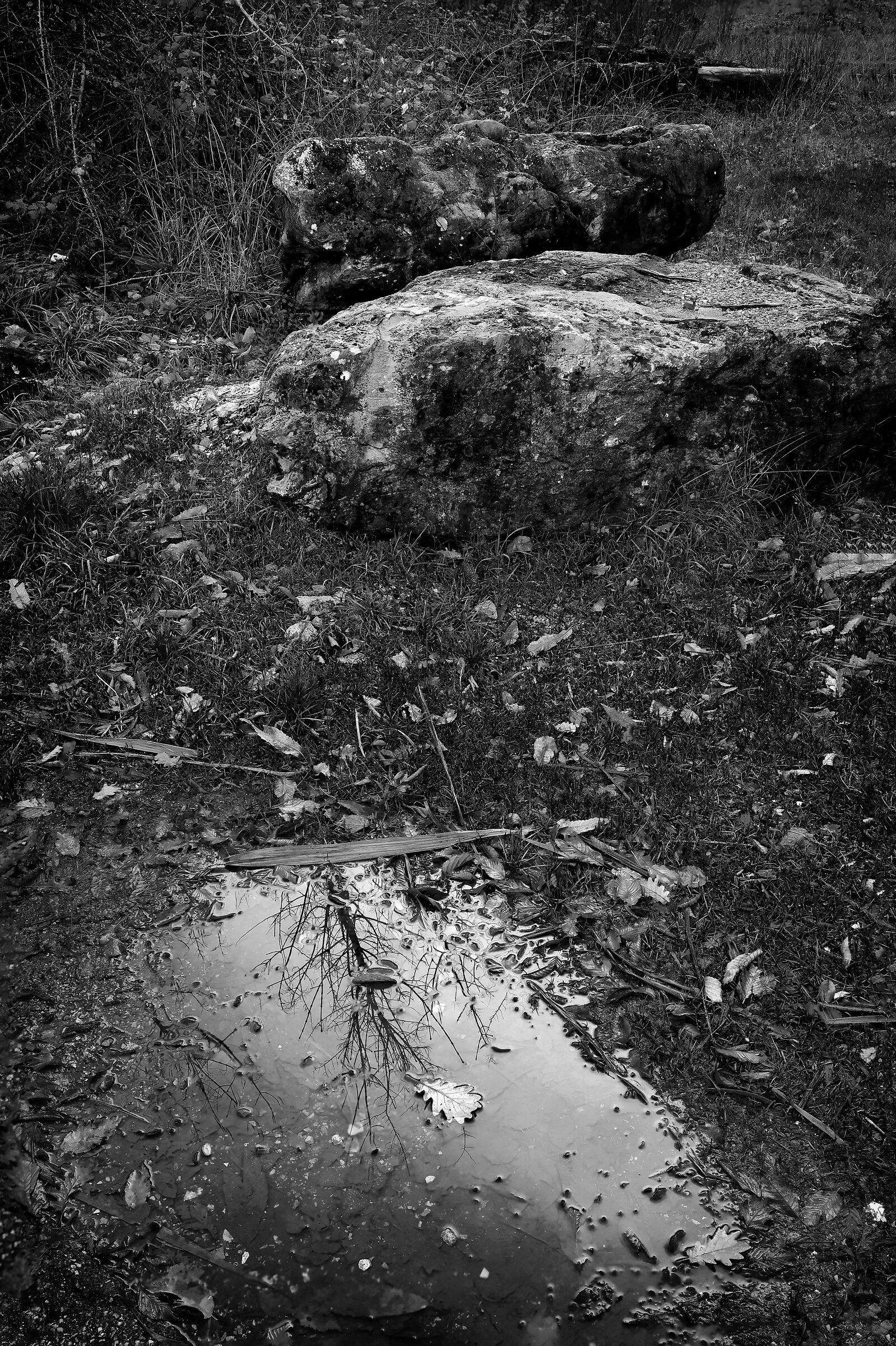 Sul colle di Monsummano