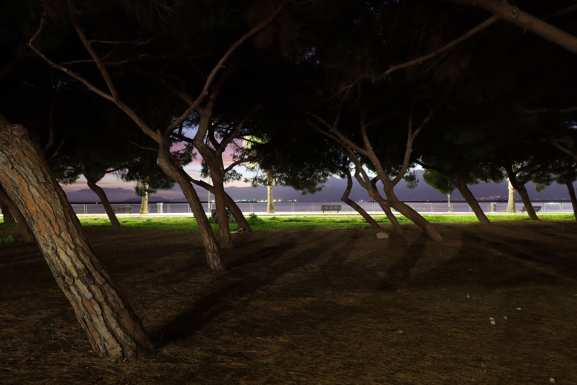 Passeggiata lungoporto - Cagliari