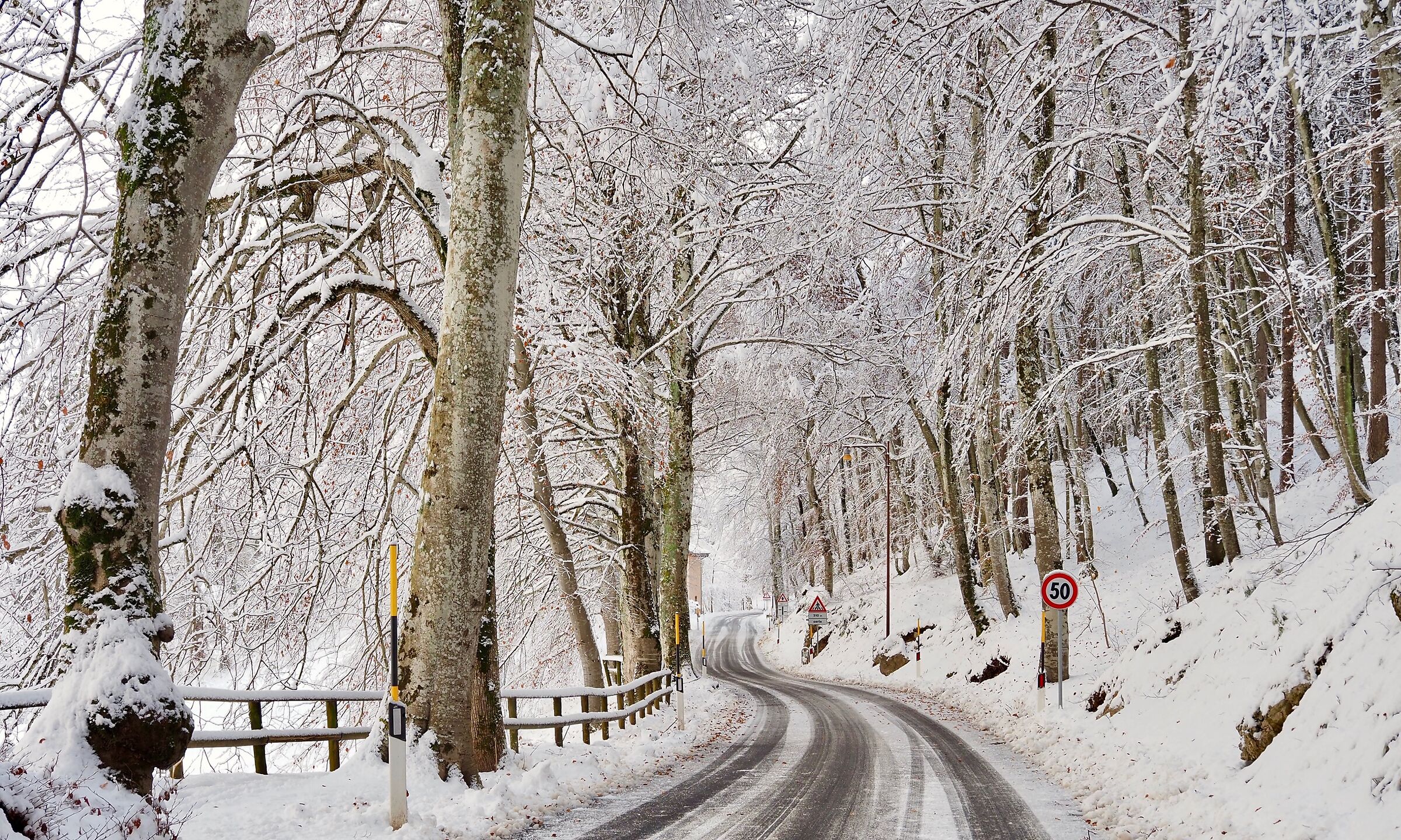 Chè la dritta via era smarrita....