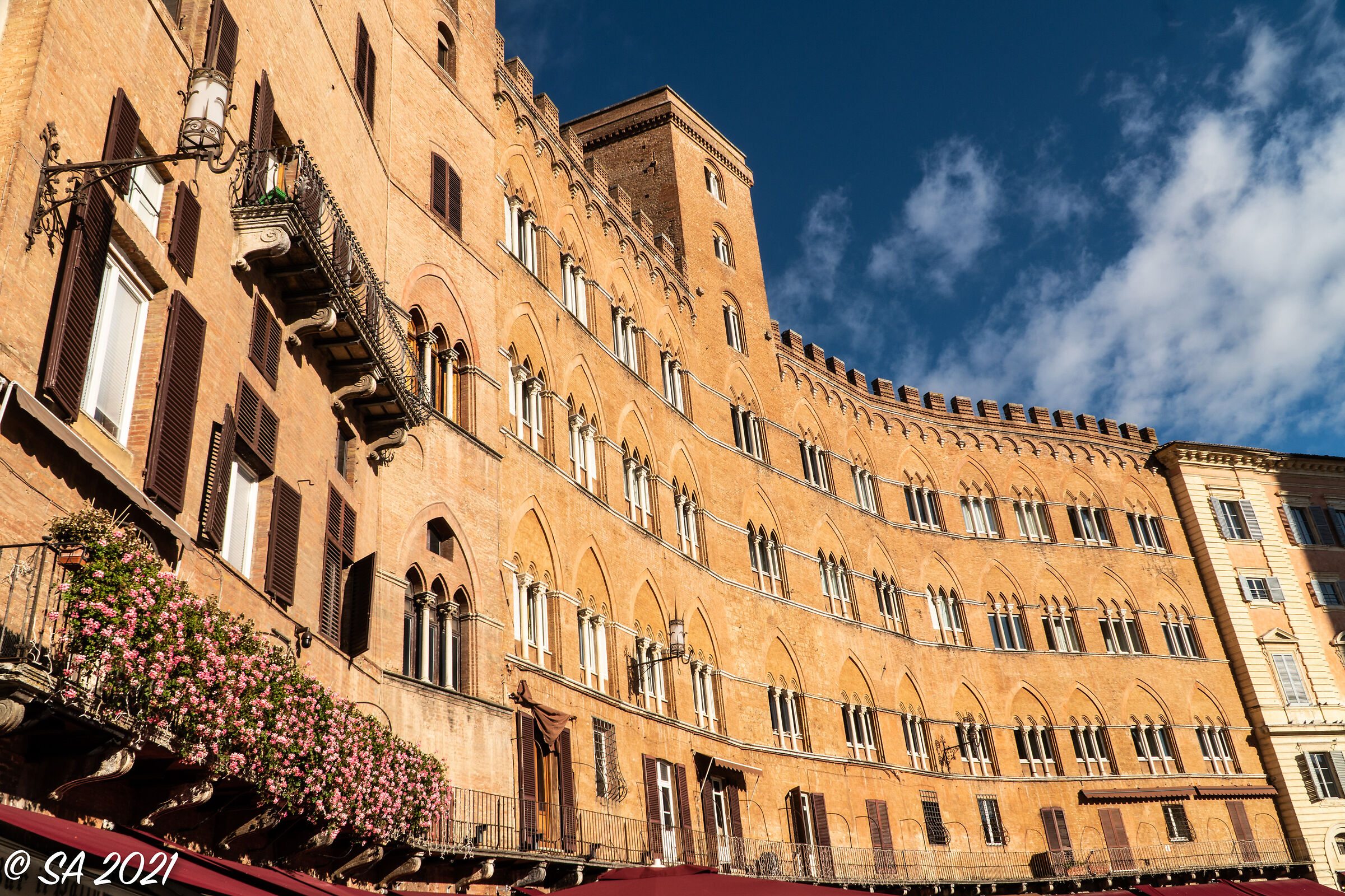 Siena 1