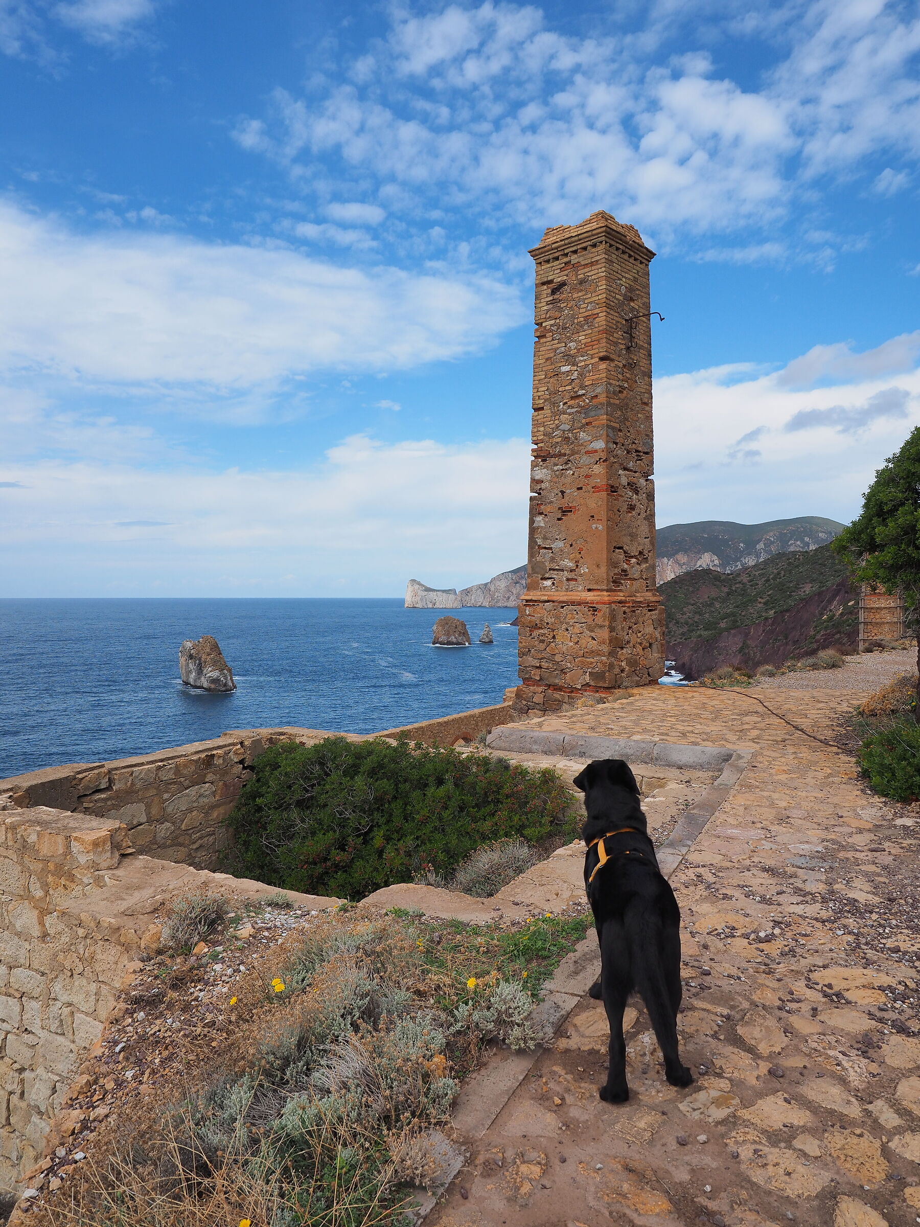 Lars e la laveria Lamarmora