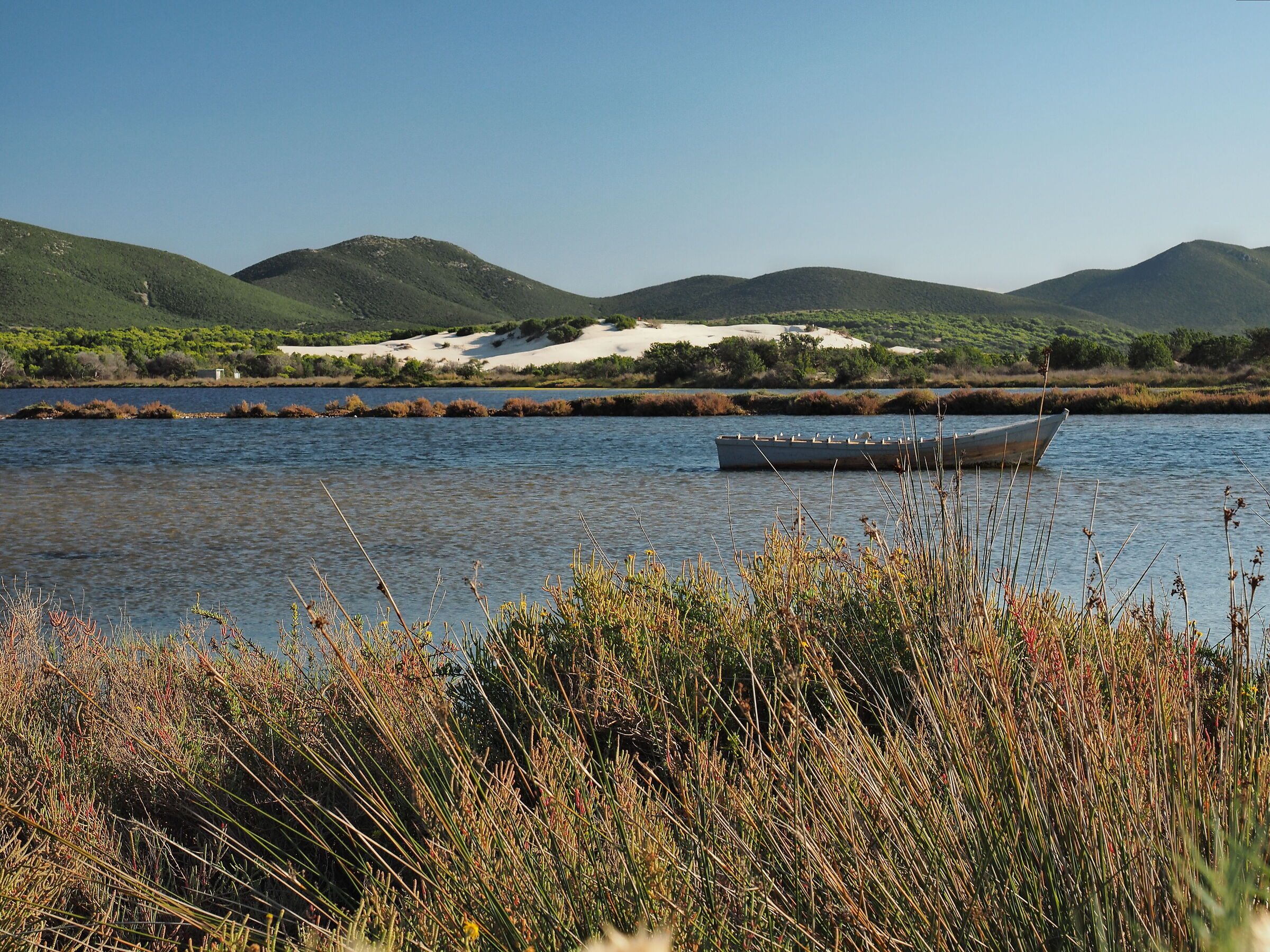 La barca, le dune, lo stagno