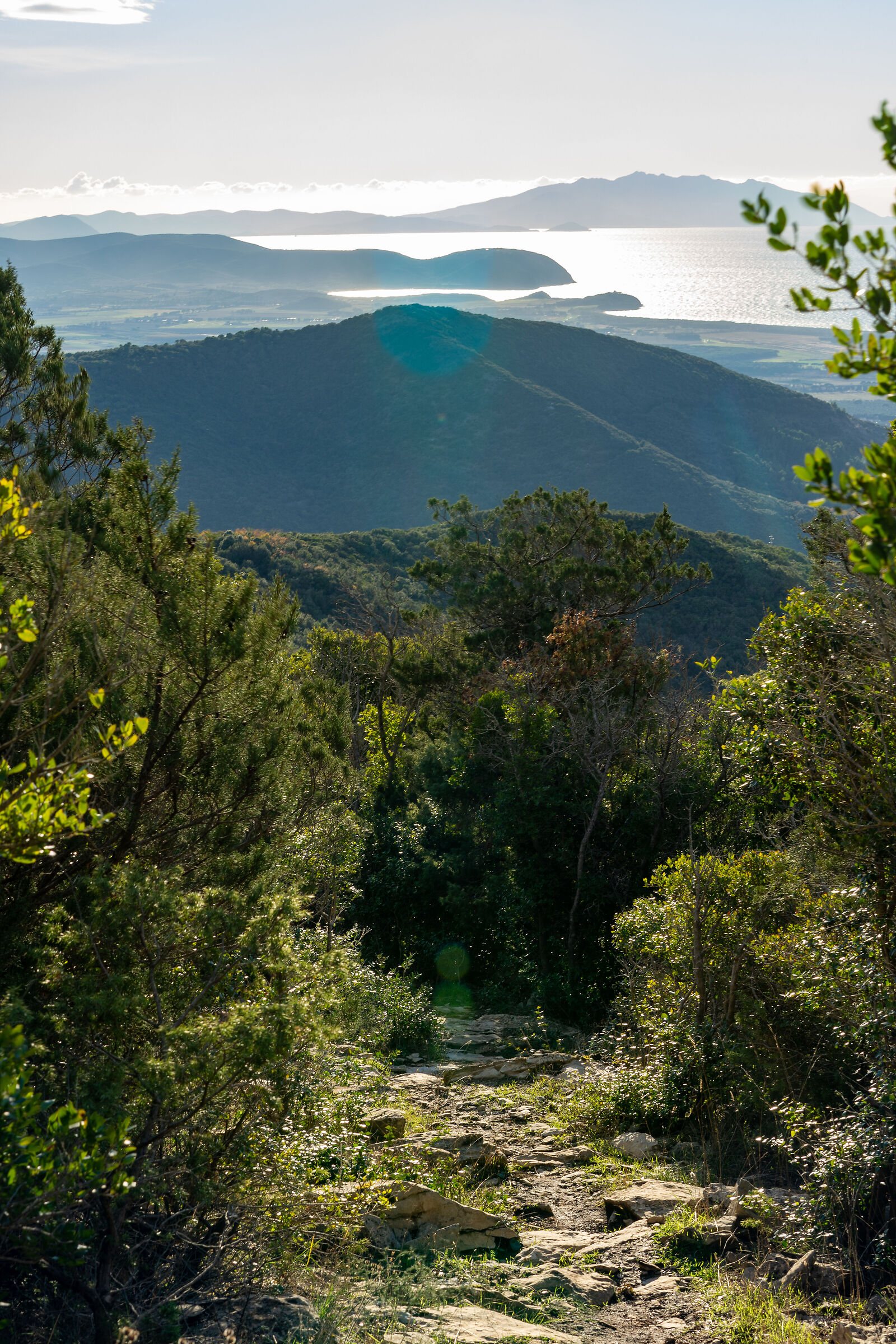 strada per l'elba