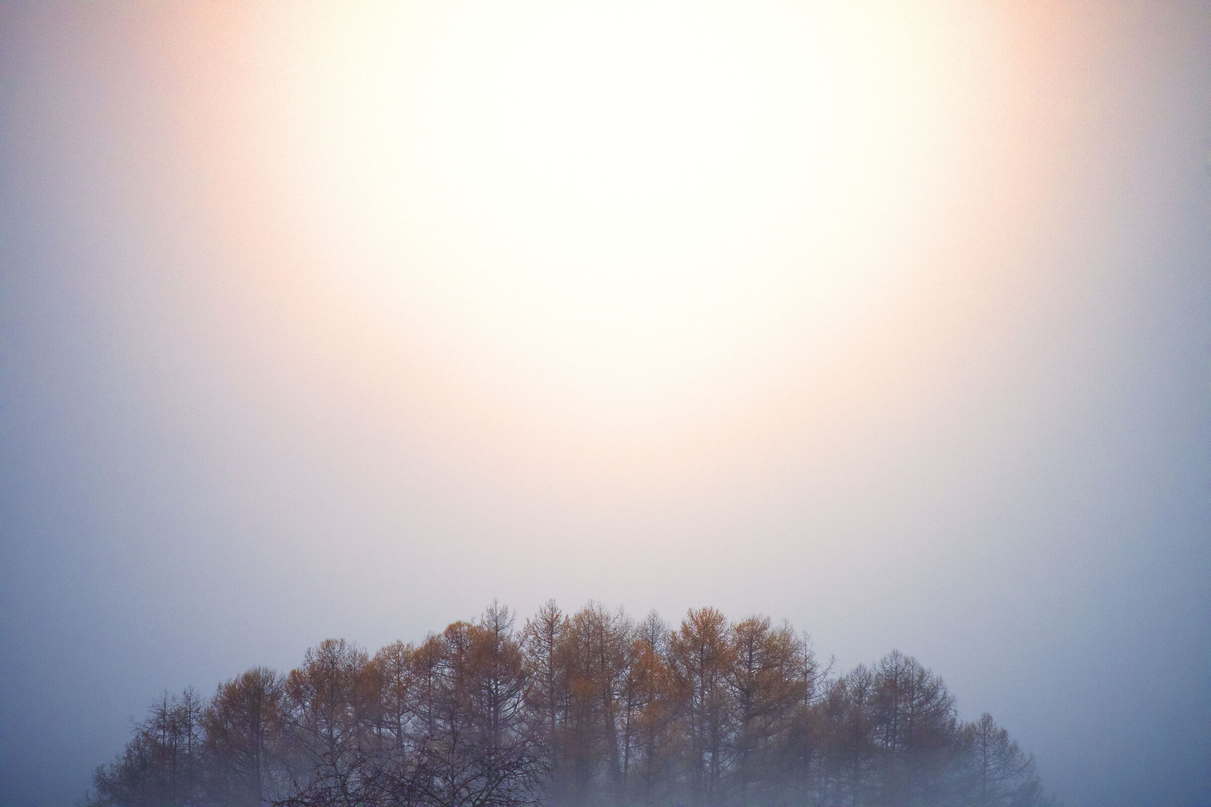 Untitled Photo