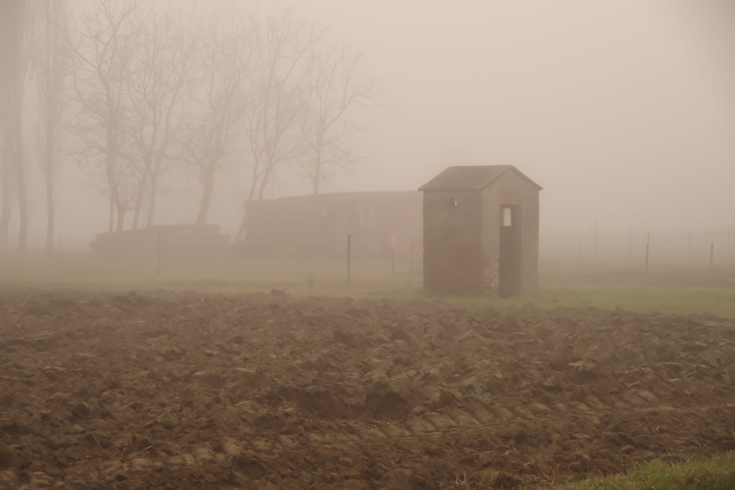 Fog on the