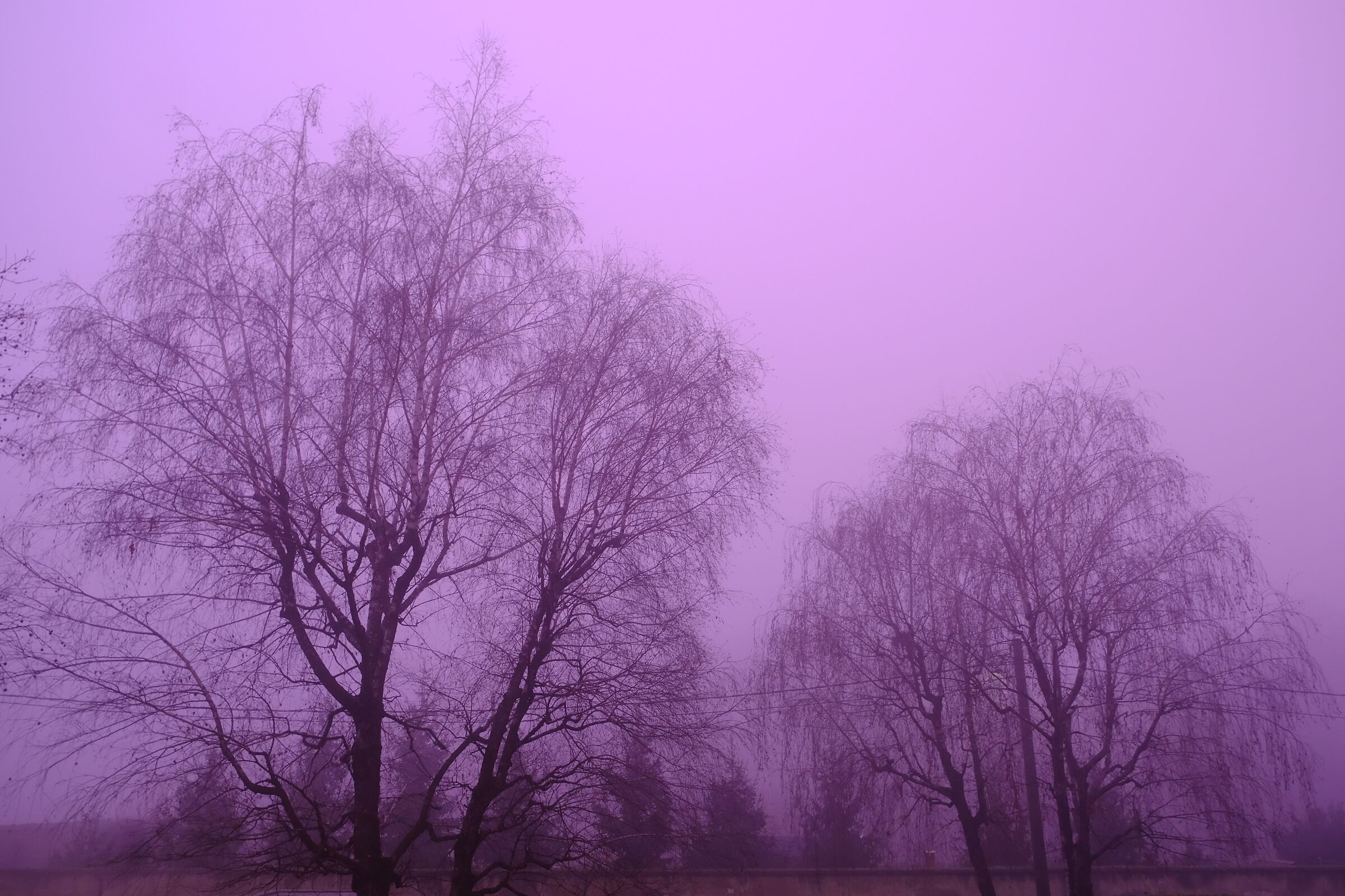 Purple sky