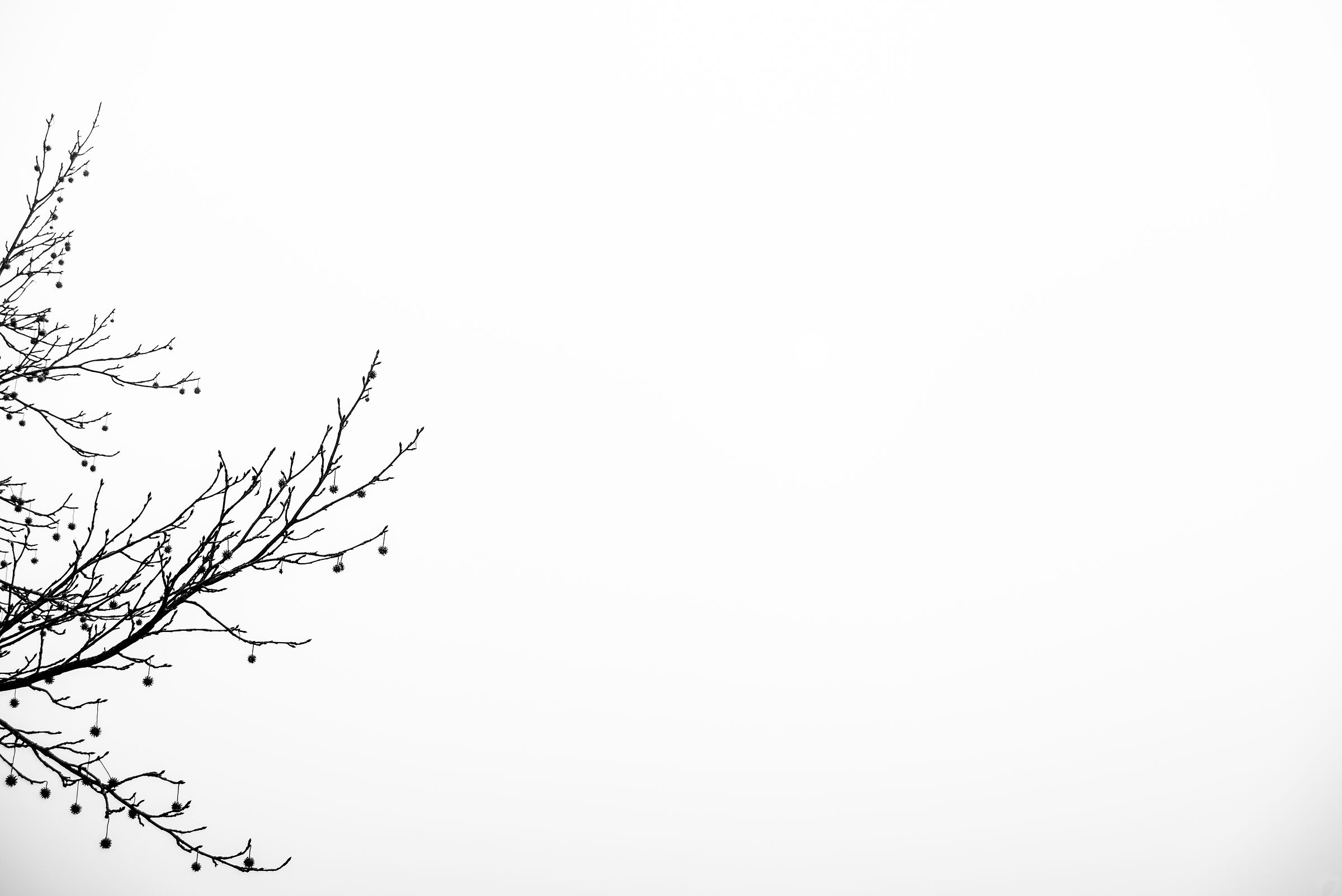 "We are almost safe"