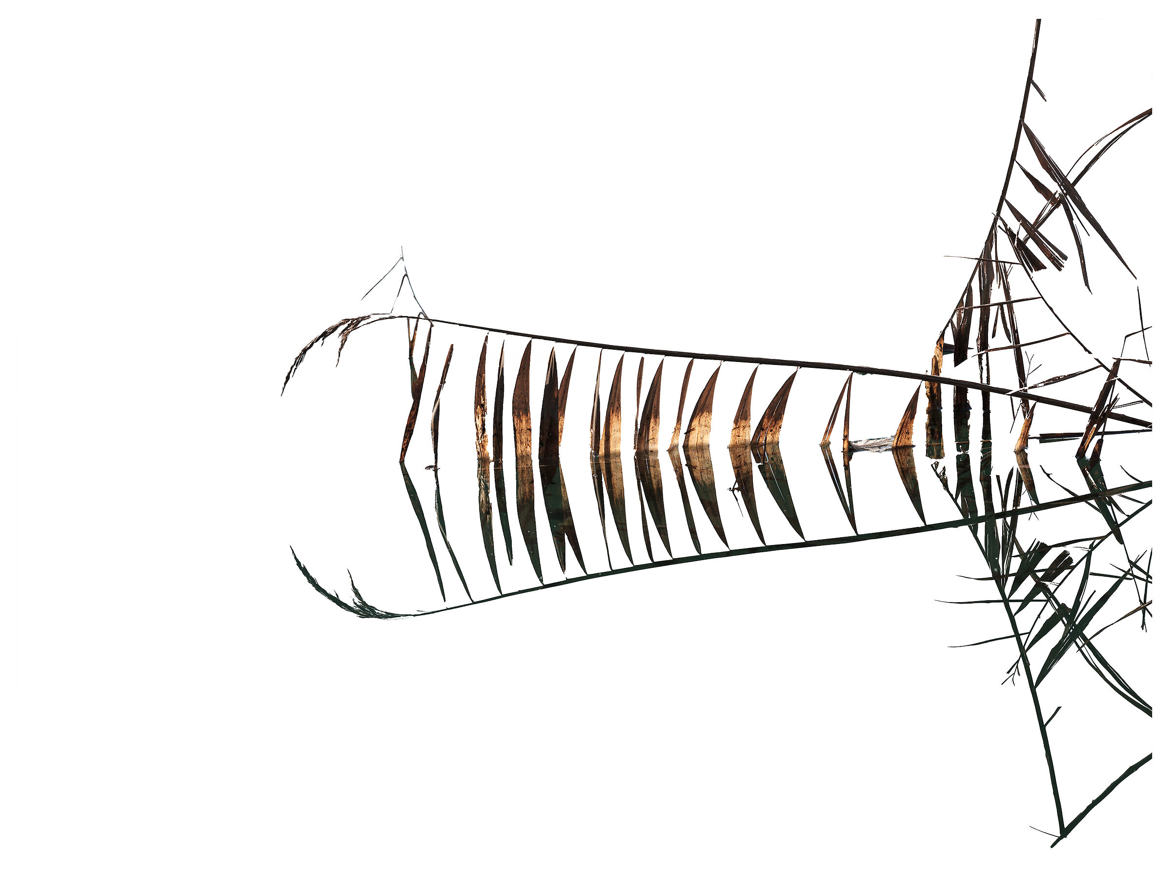 Fluctuations and interactions #27