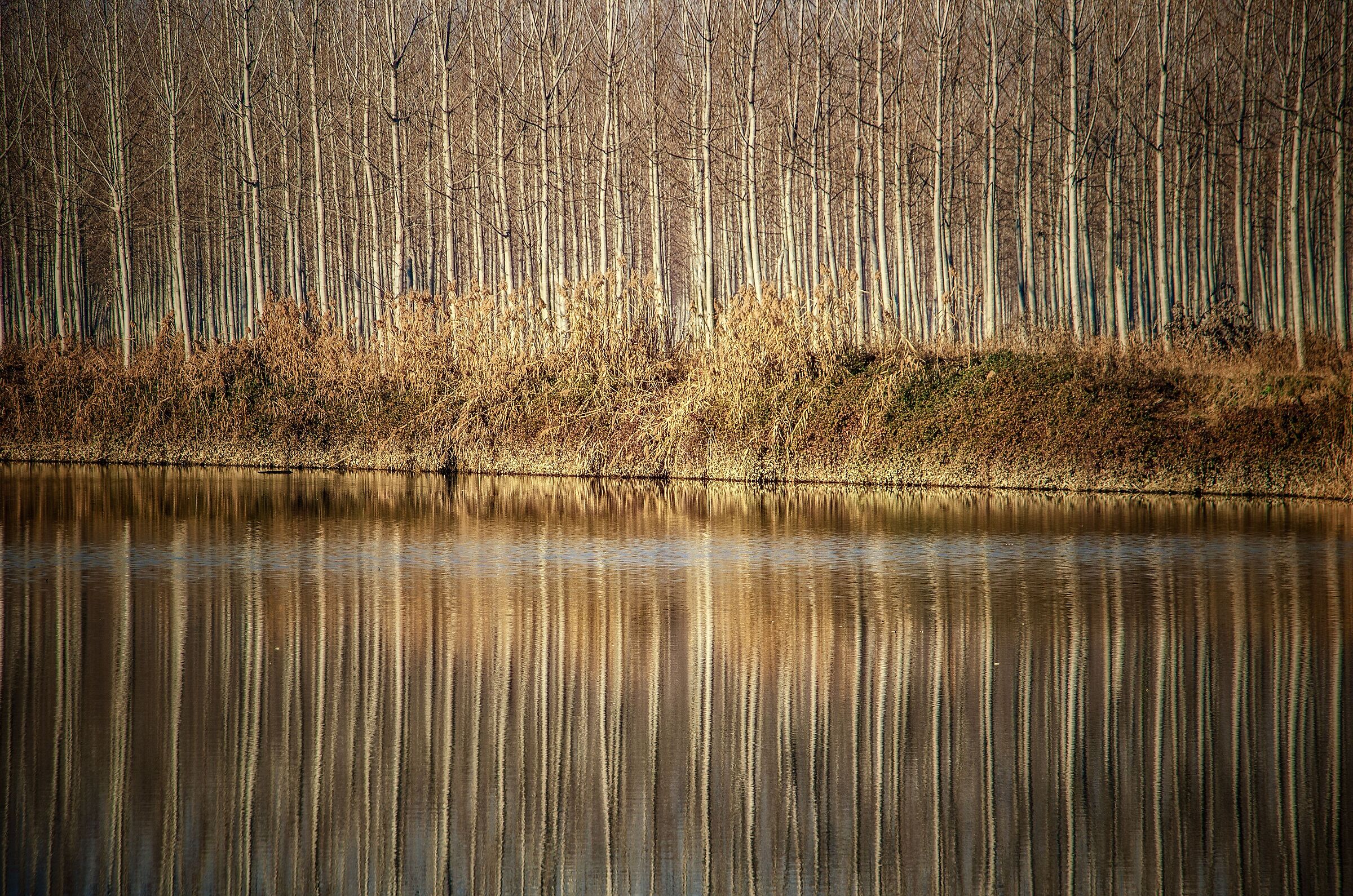 Lungo il fiume Sesia