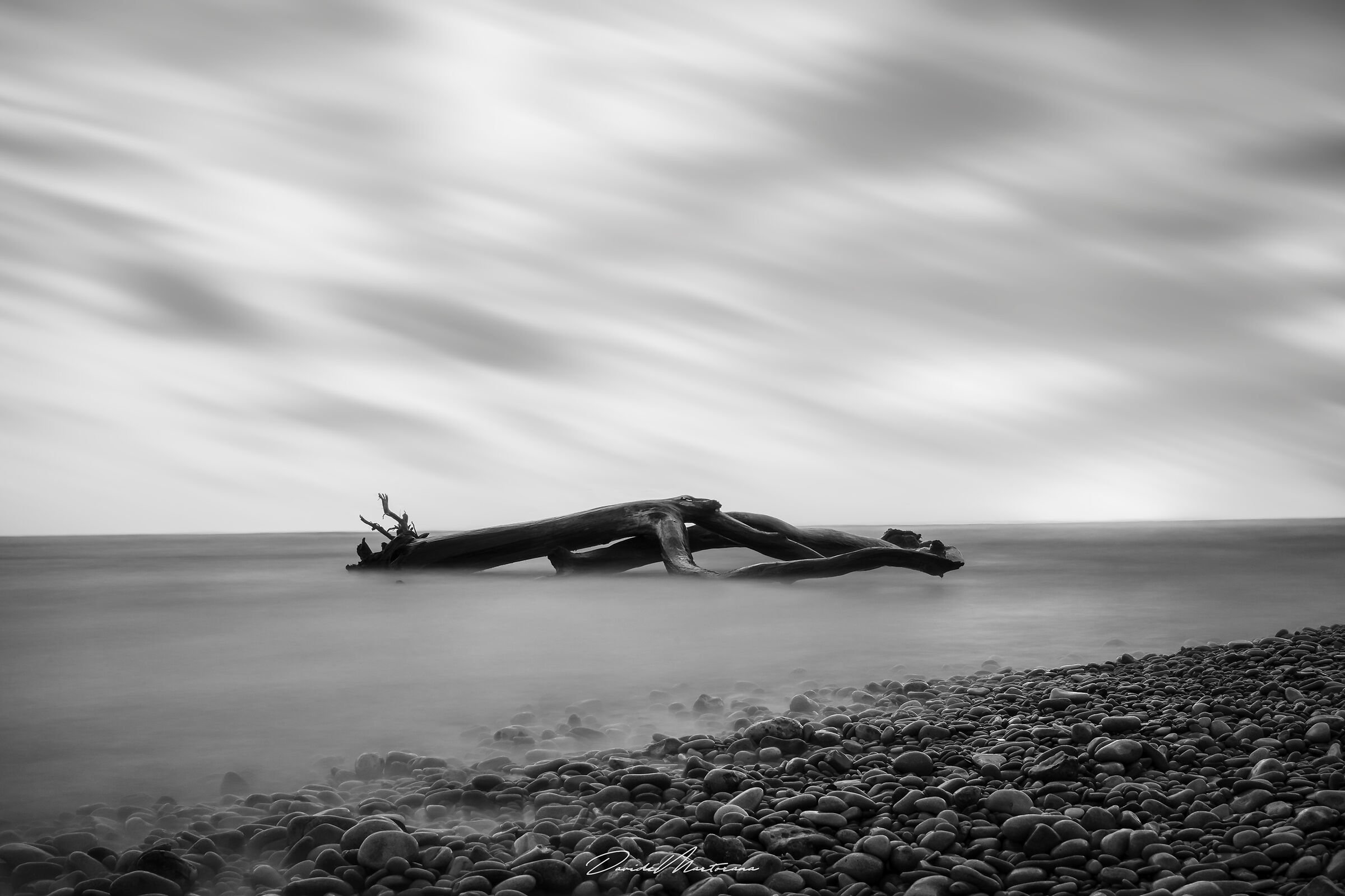 Motionless