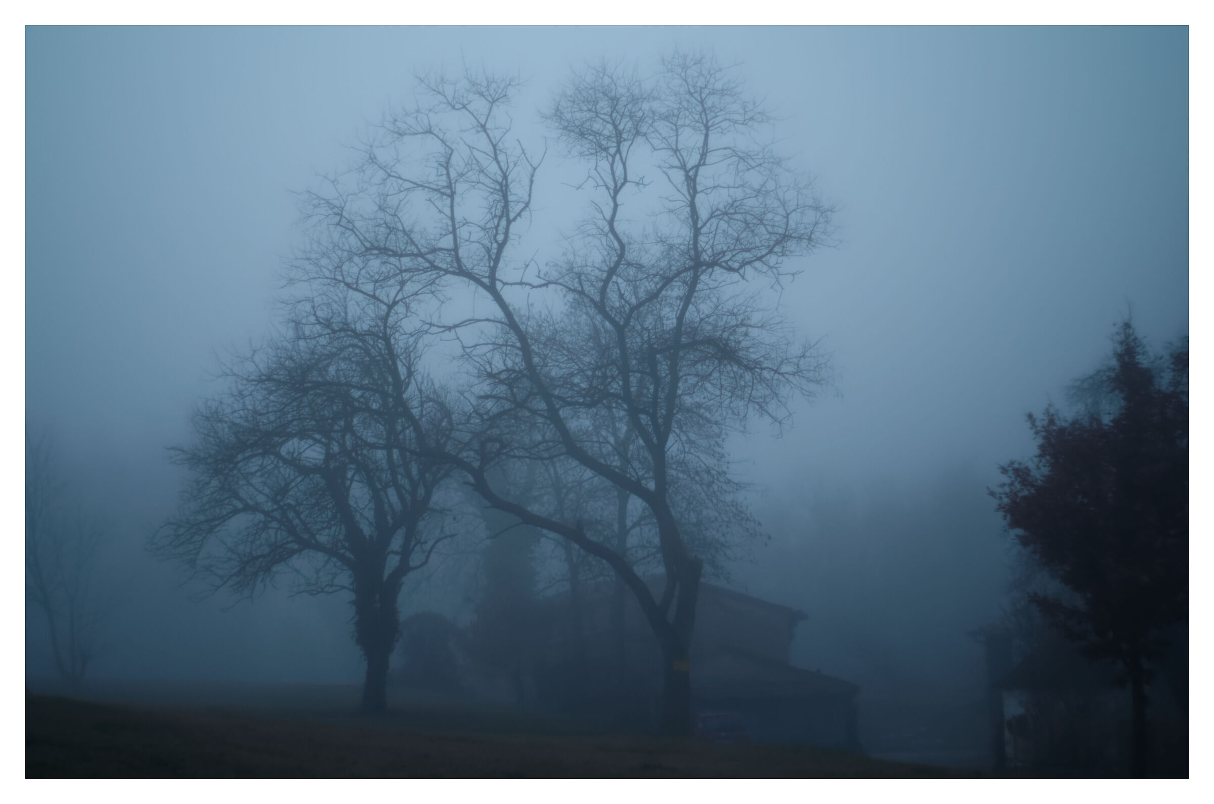 I colori della nebbia