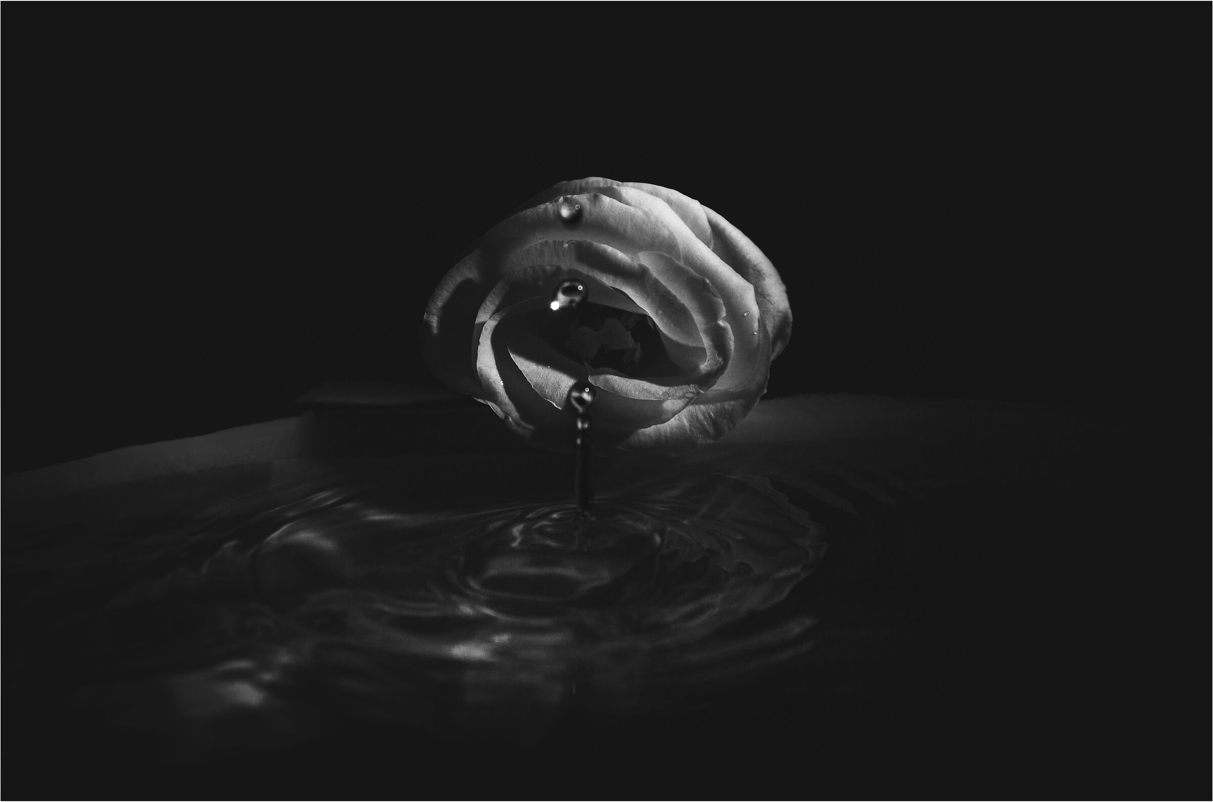 Pink, drop