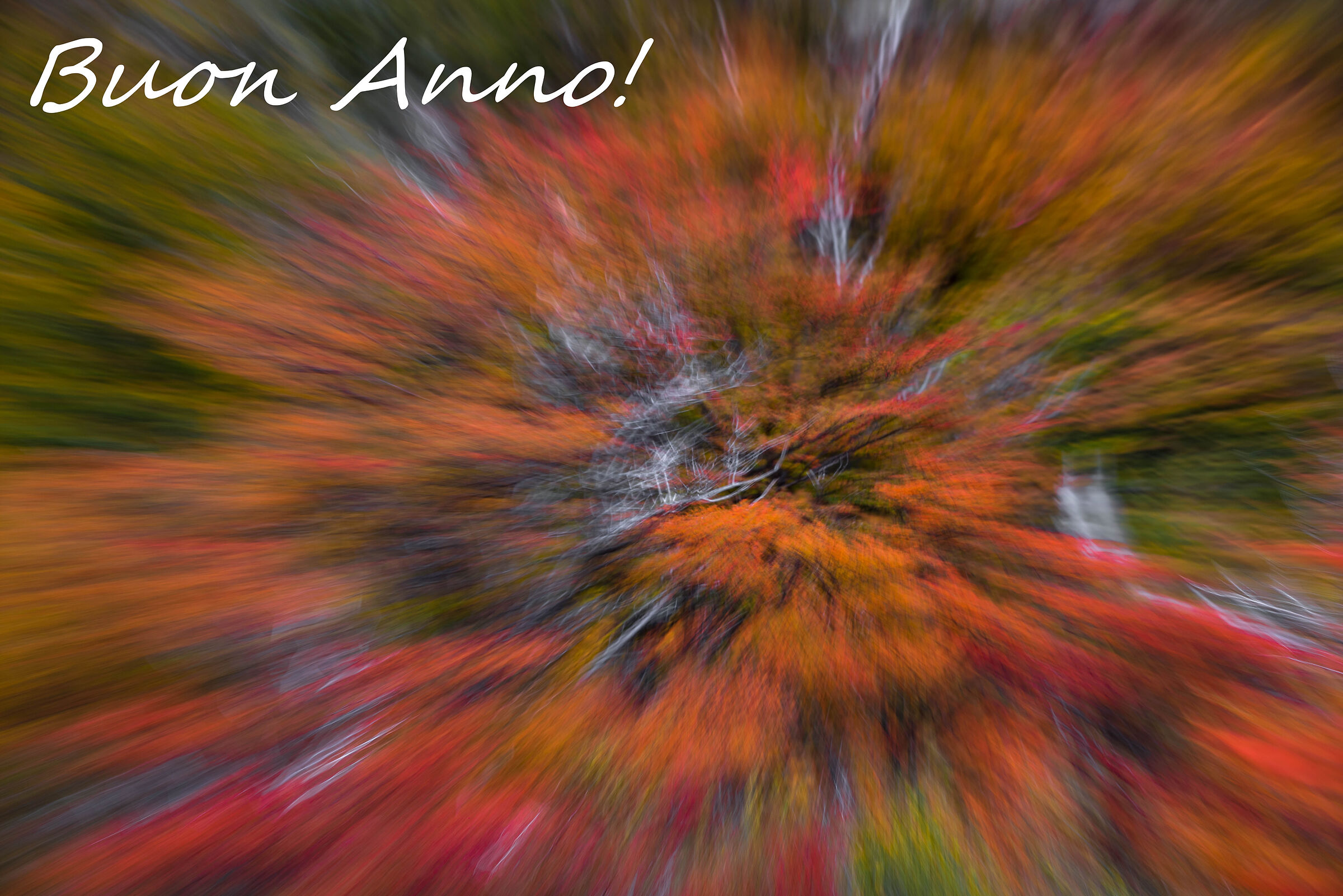 Auguri di un Buon 2022!