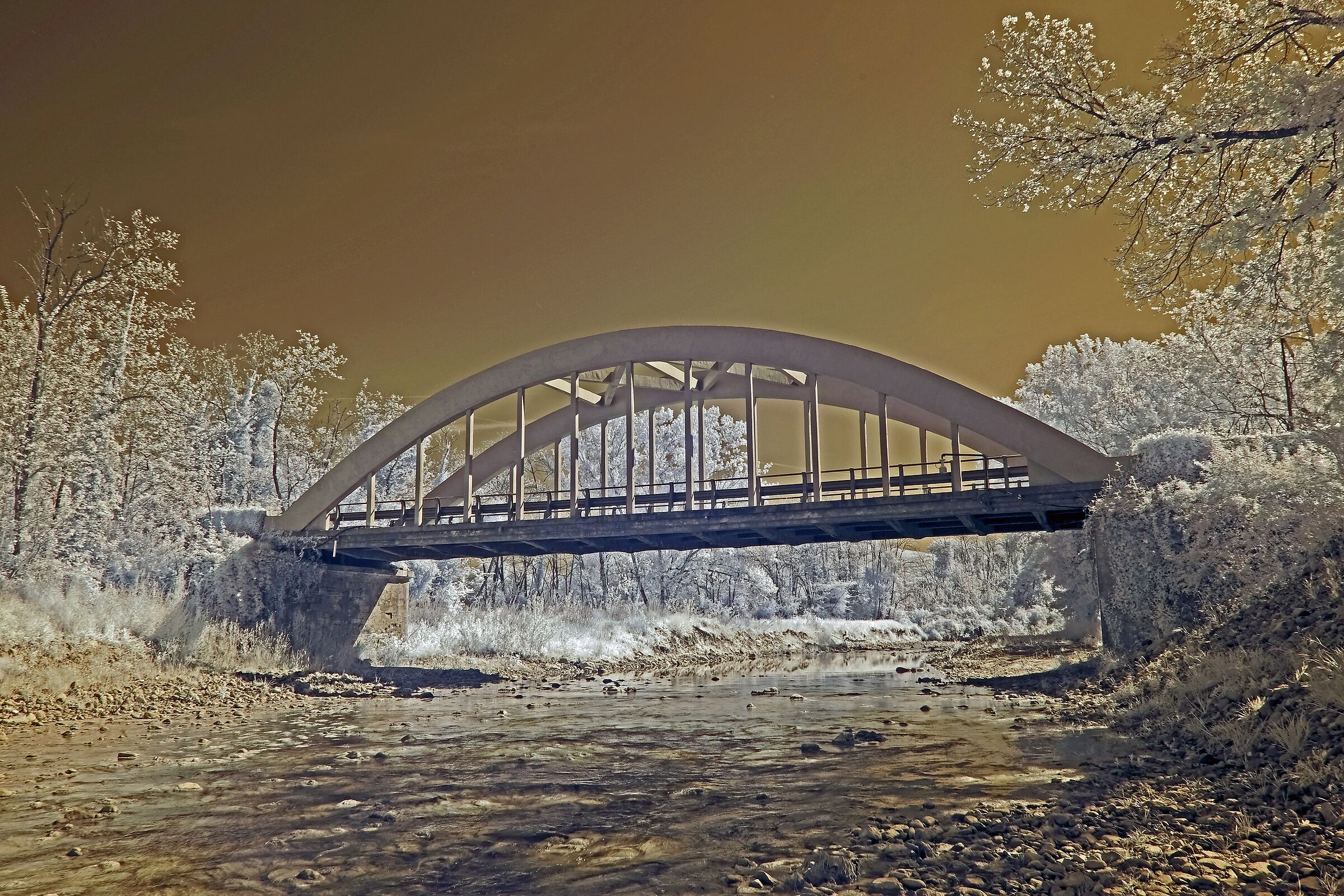 Bridge