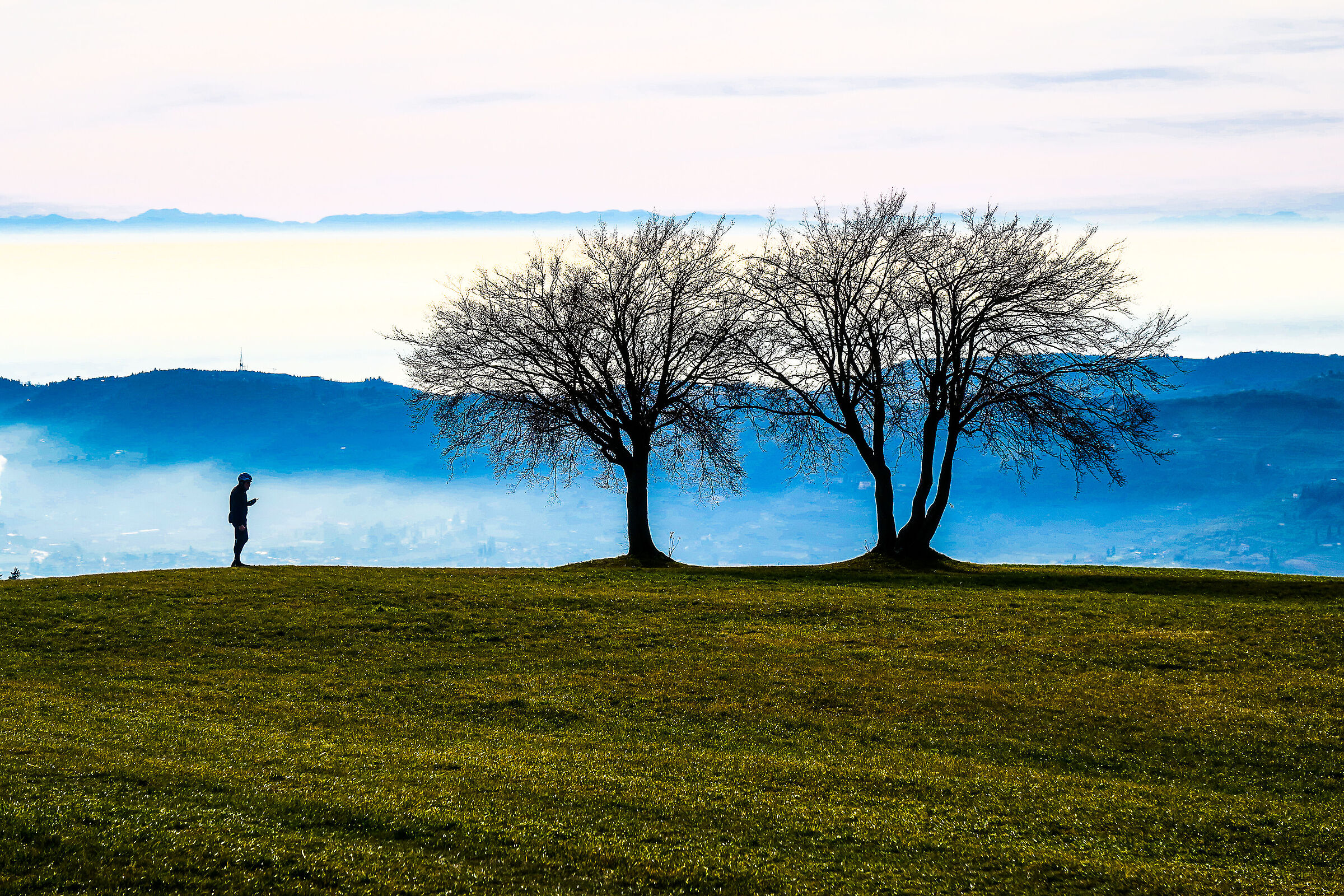 Verona - Monte Santa Viola