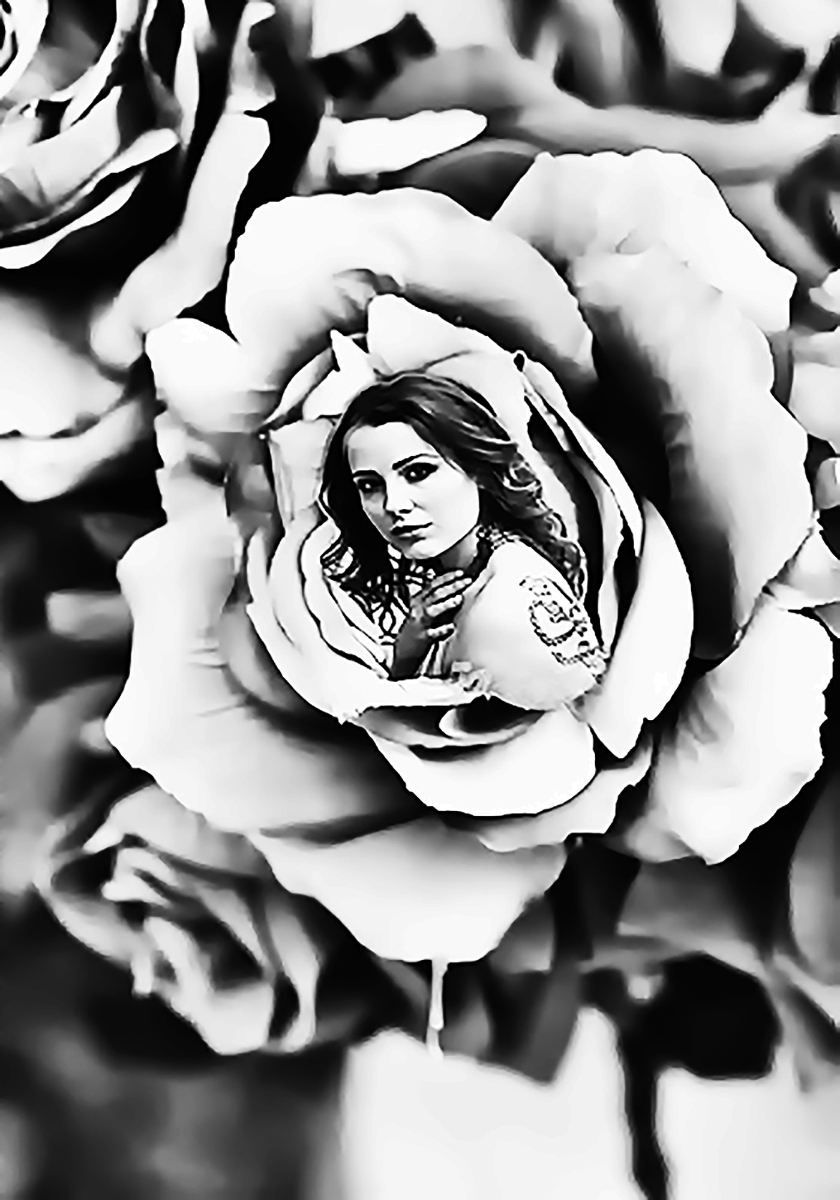a flower in the flower