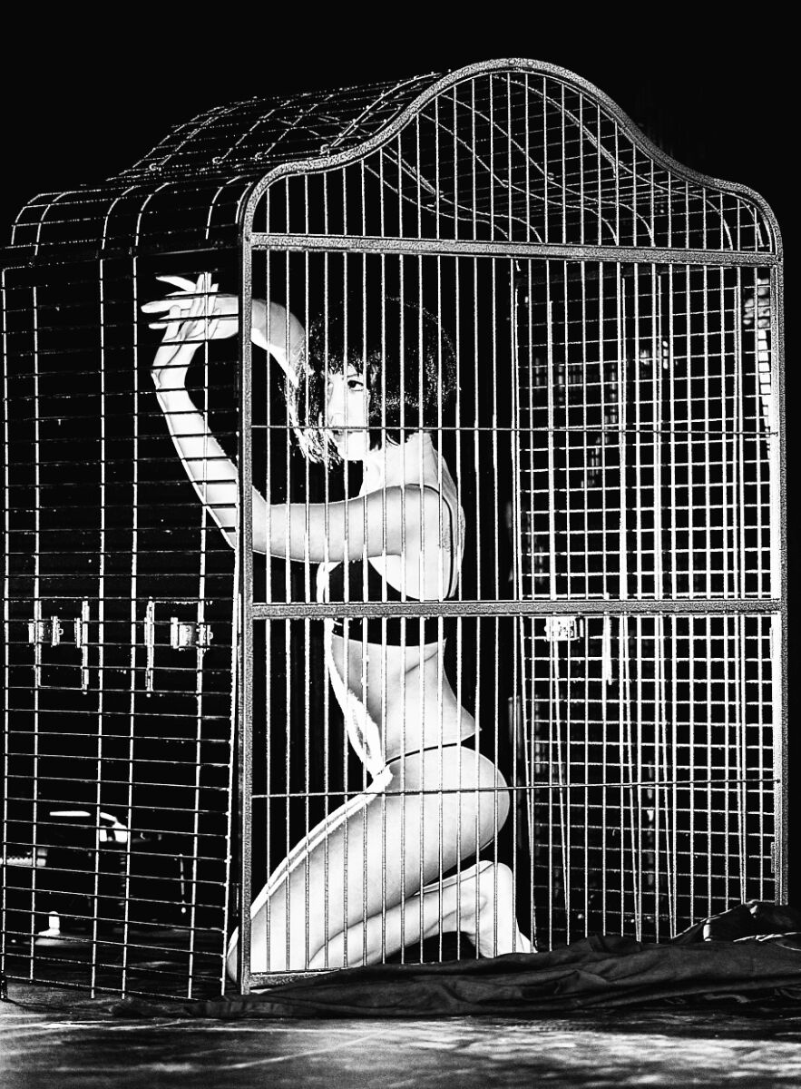 desire in a cage